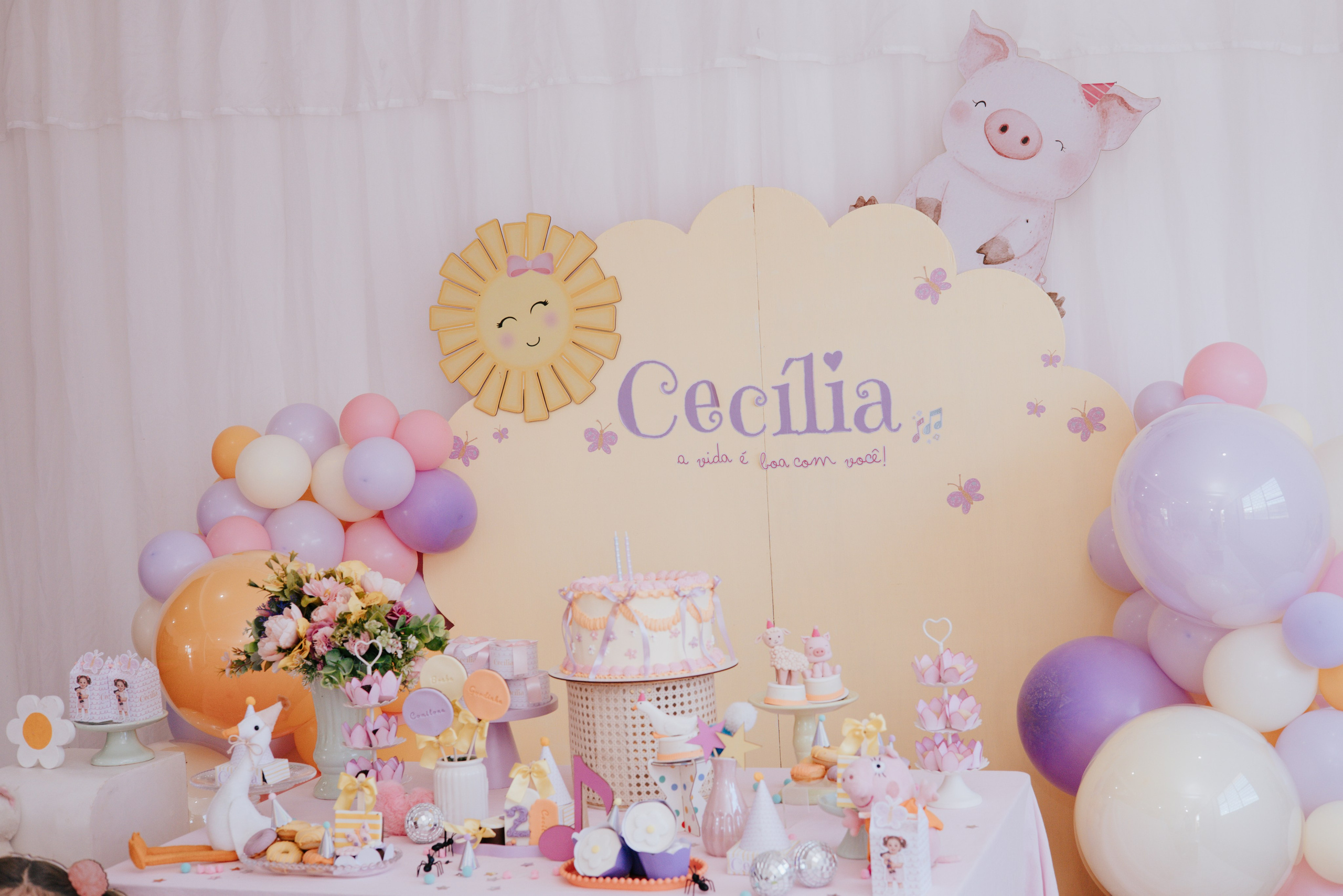 Cecília 2 anos. Fotografia de família e parto