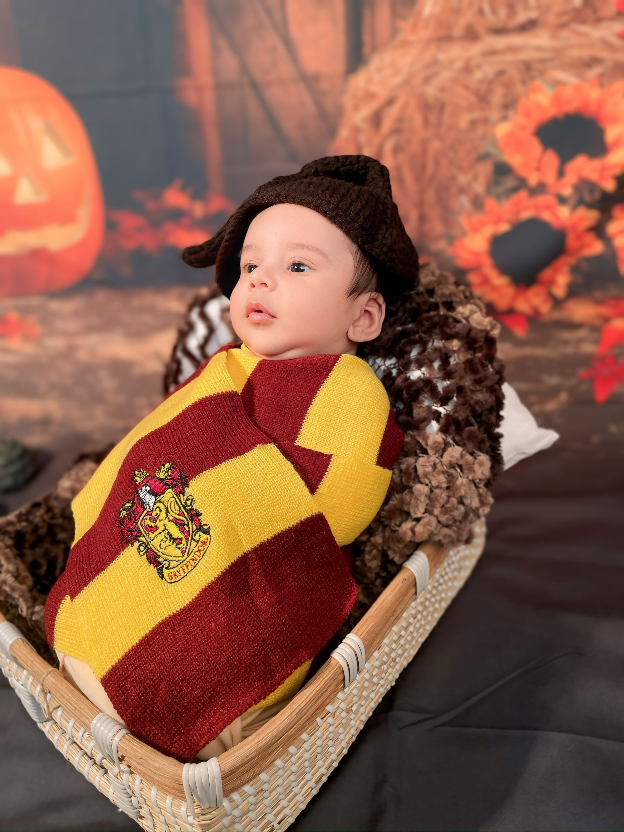 Harry Potter. AP Lens Photography | Newborn, Maternity, Milestone & Family Photographer Little Elm TX