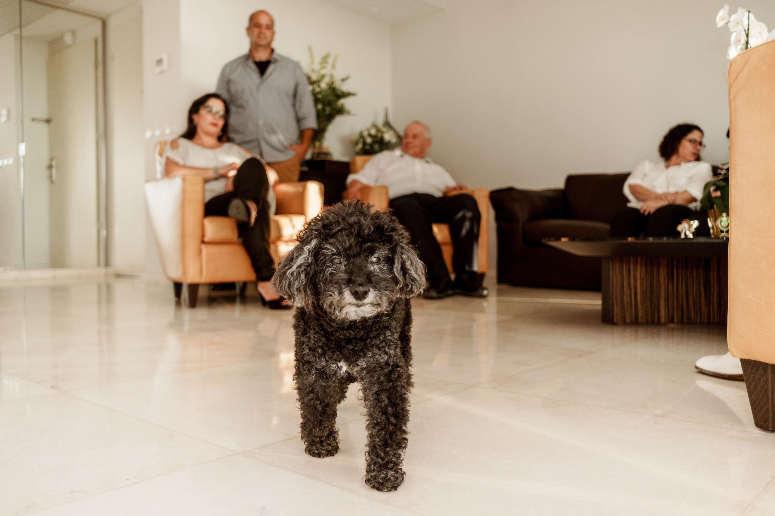 Stylish wedding of Gabriel & Juliette in Tel-Aviv, Israel. Porto Travel Photographer | Couples & Vacation Photos in Portugal — WePortugal