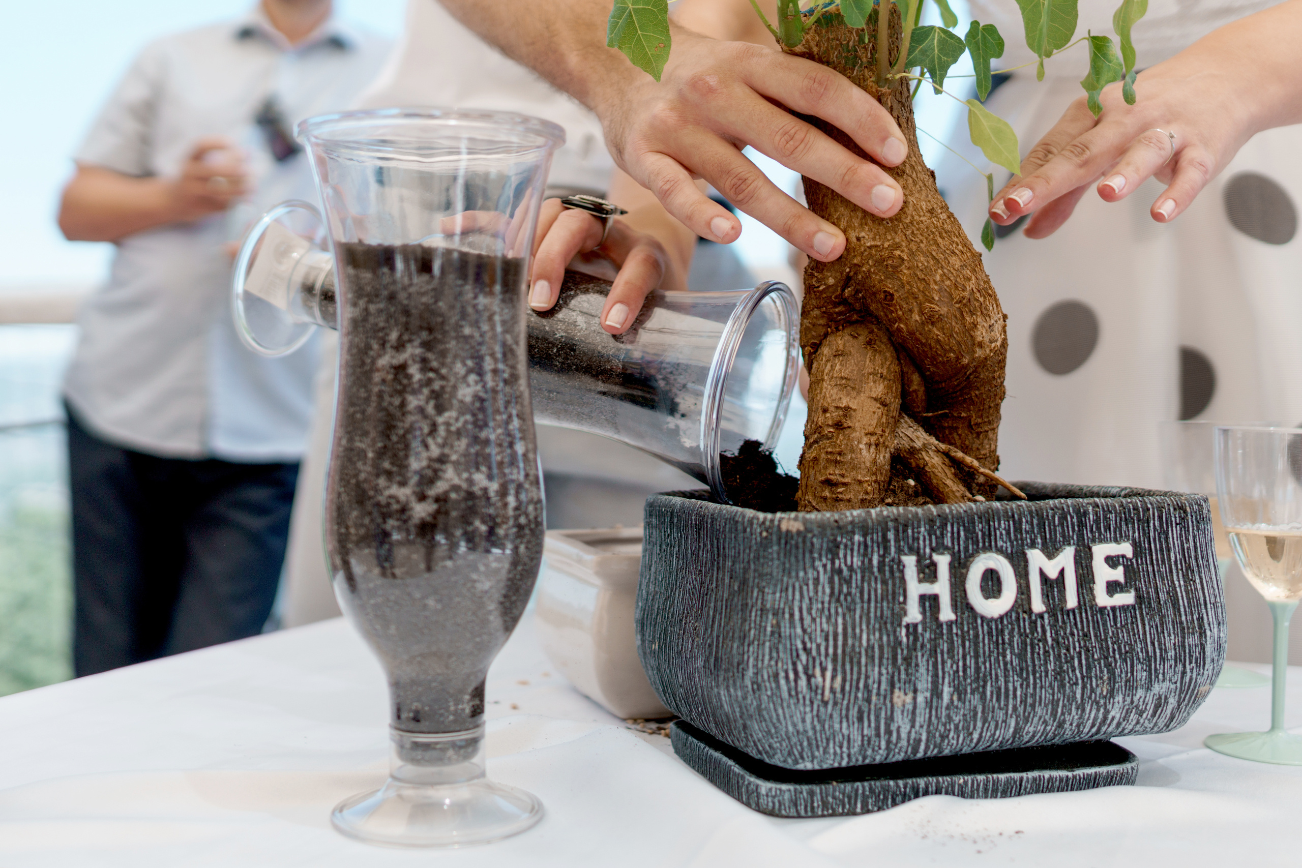 Свадьба на природе в Израиле, Иван и Дарья. Фотограф и видеограф в Португалии