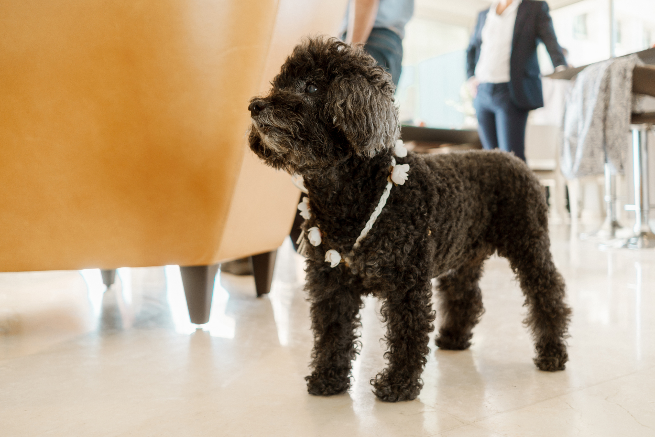 Stylish wedding of Gabriel & Juliette in Tel-Aviv, Israel. Porto Travel Photographer | Couples & Vacation Photos in Portugal — WePortugal