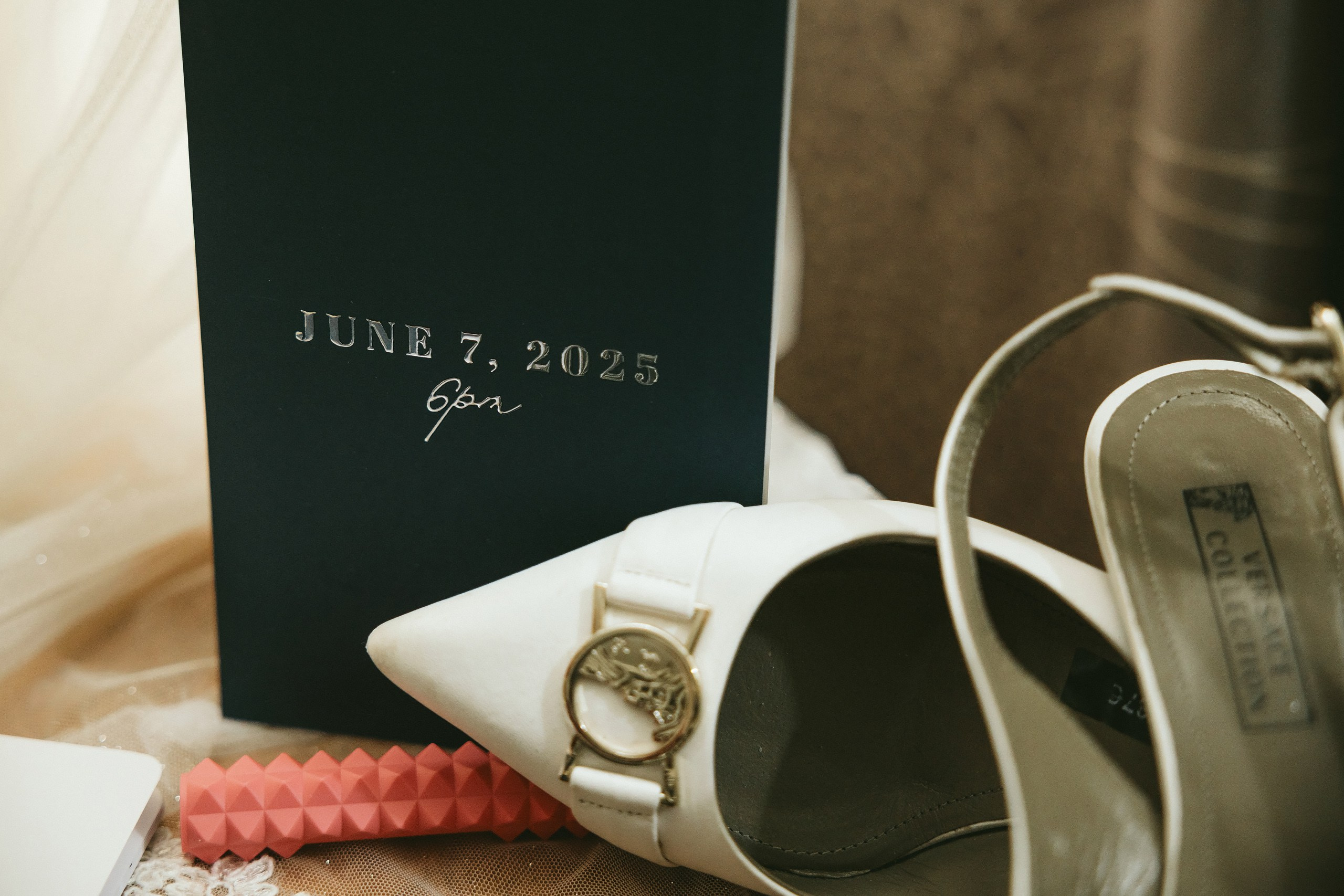 06.08.2025 Wedding. Wedding family event photographer in Chicago Nick Yushevich