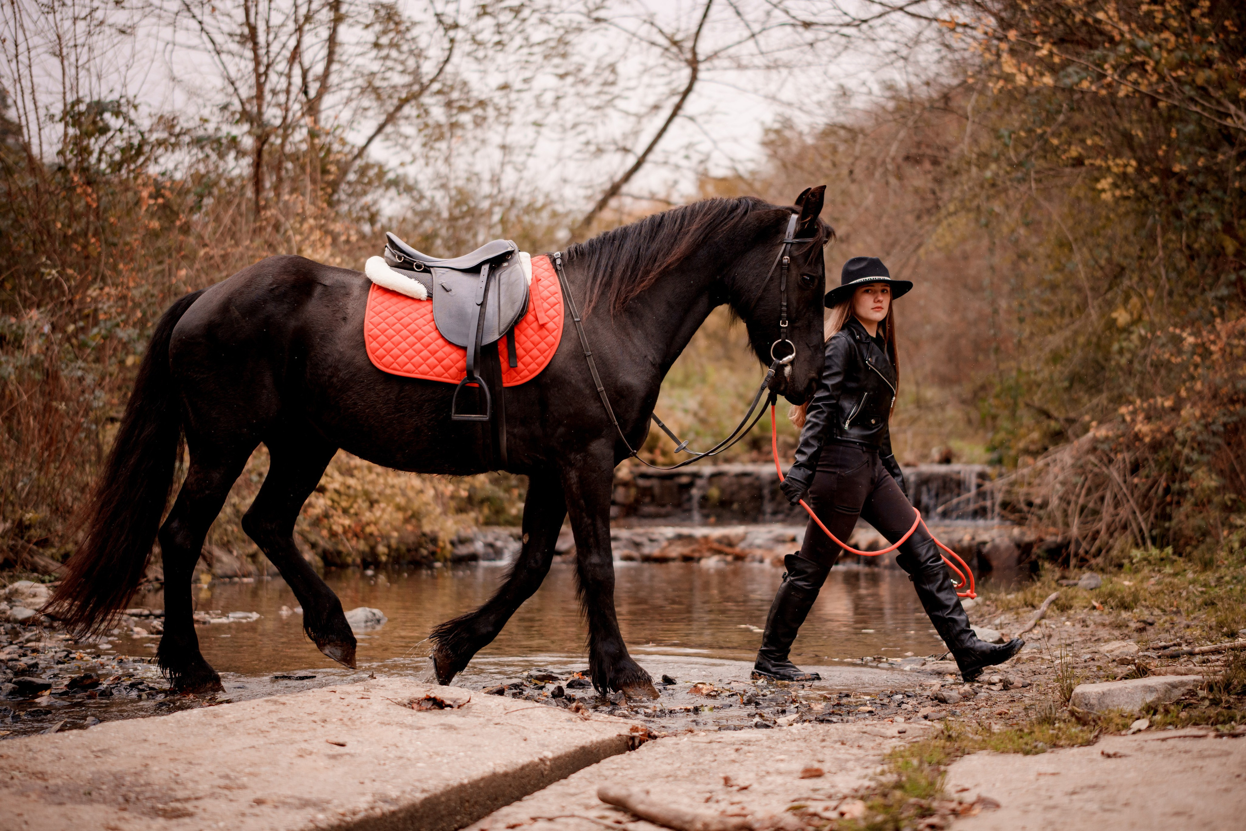 Clasa 8-a. Trendy Albums