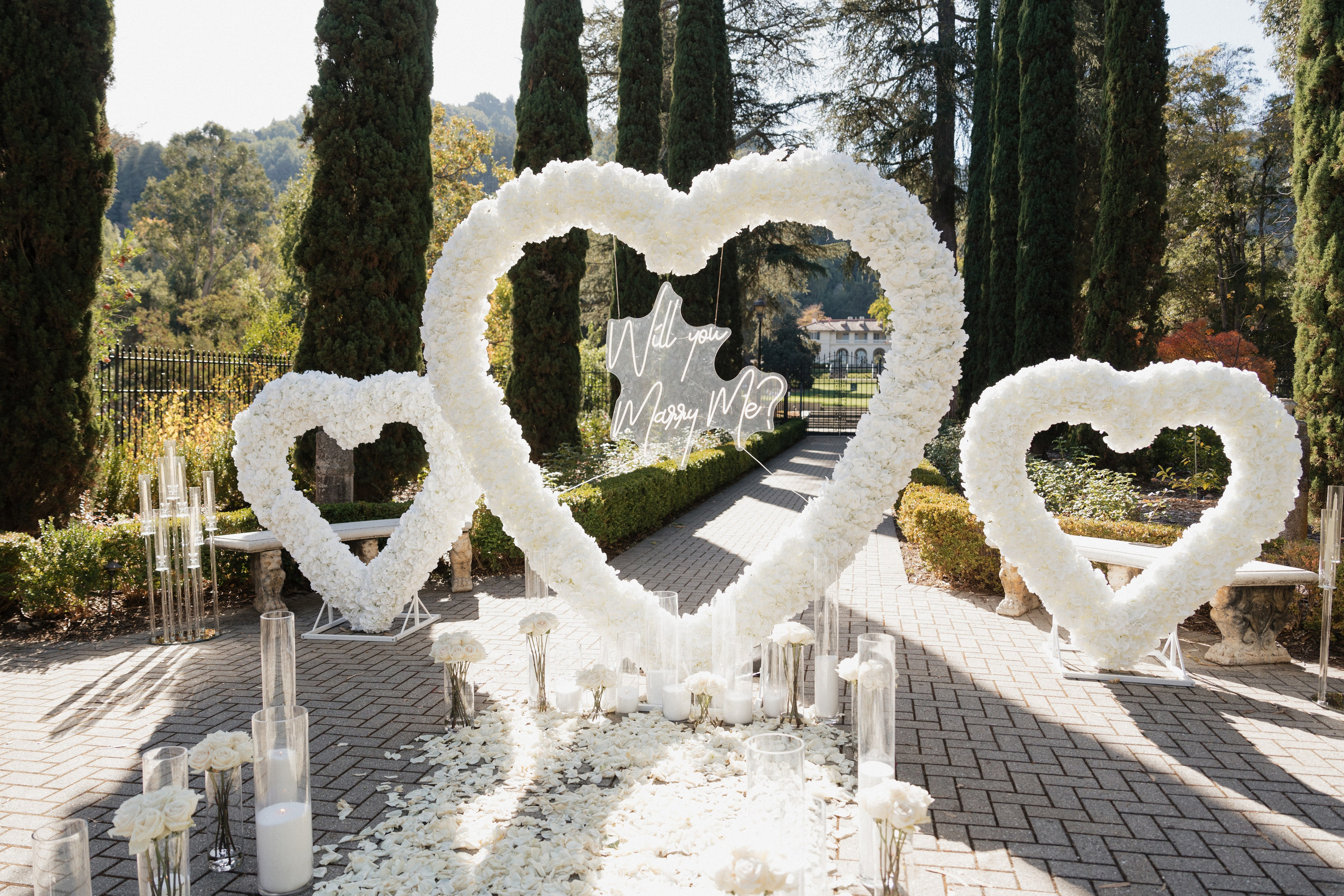 Surprise Proposal. Soulo Photography | San Francisco Bay Area Based Photographer