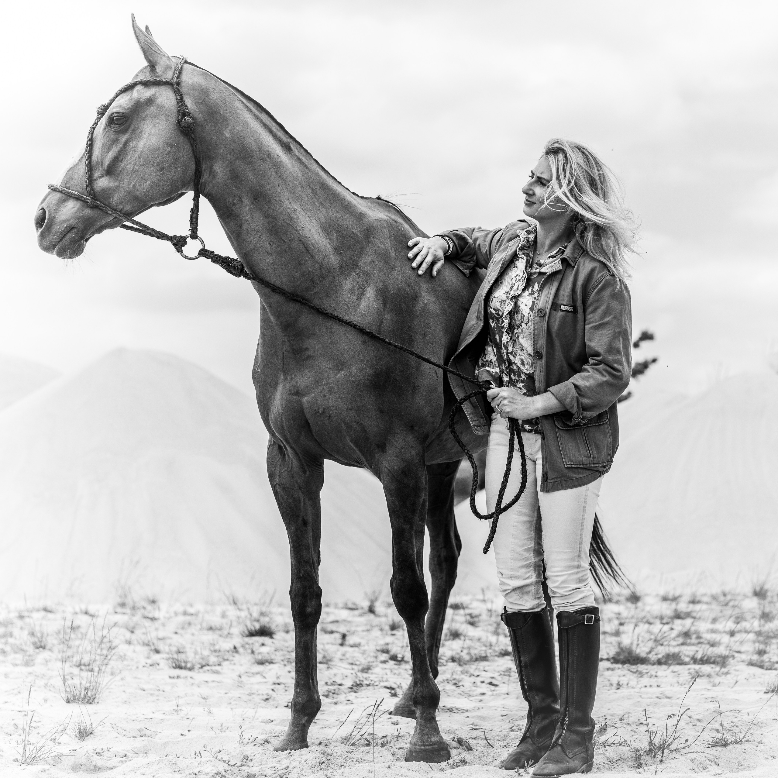 Photo shoot with horses