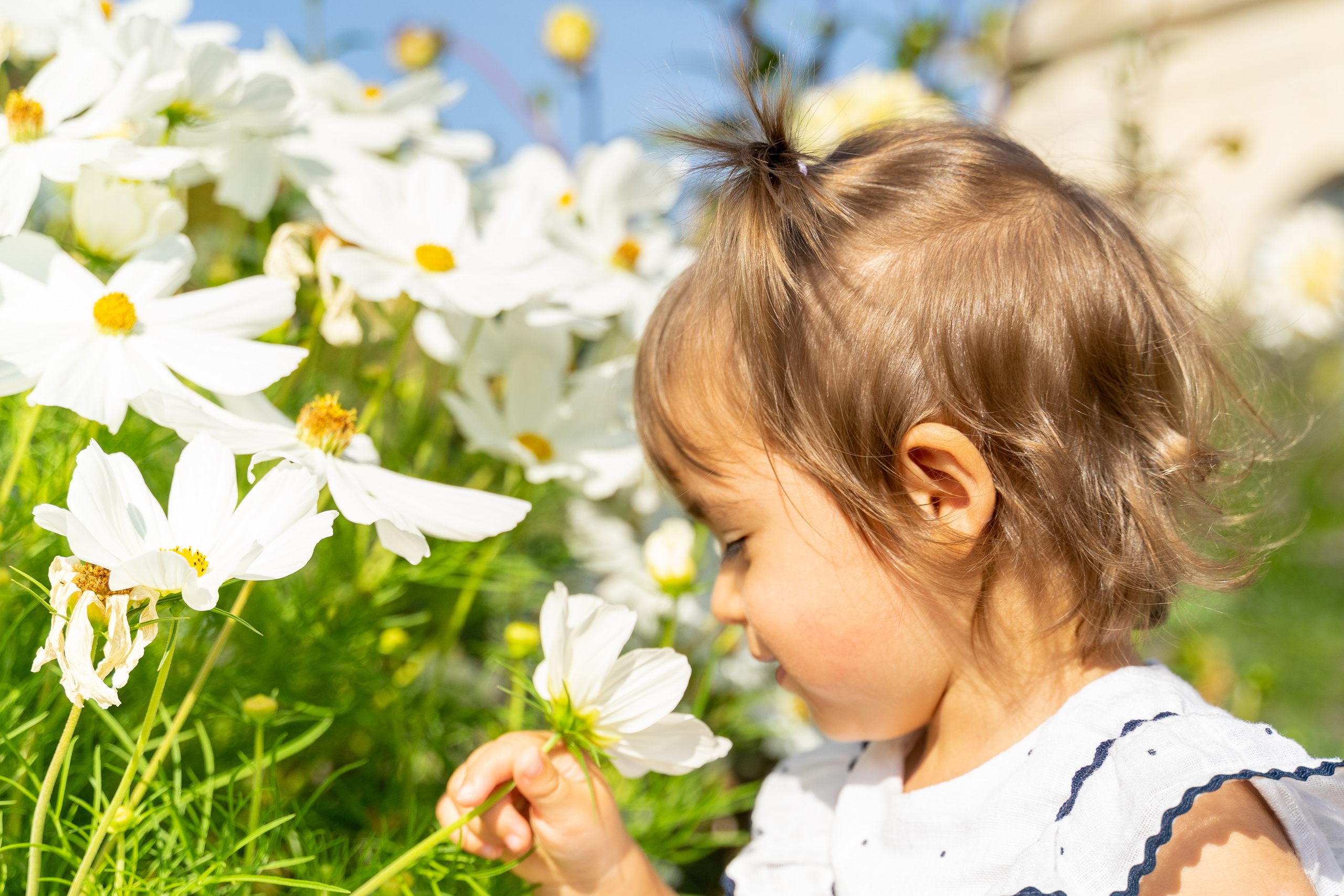 Families. Wedding and event photographer in guelph ontario canada Jessica Giovanni