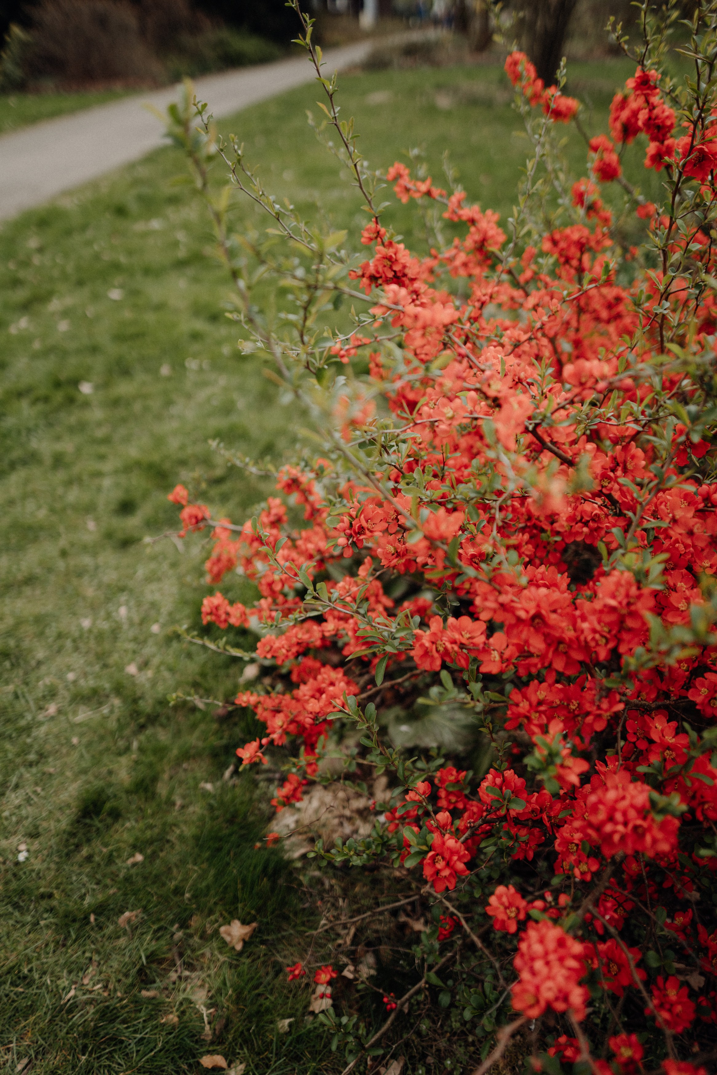 Nature. Фотограф в Праге Анна Лебедева