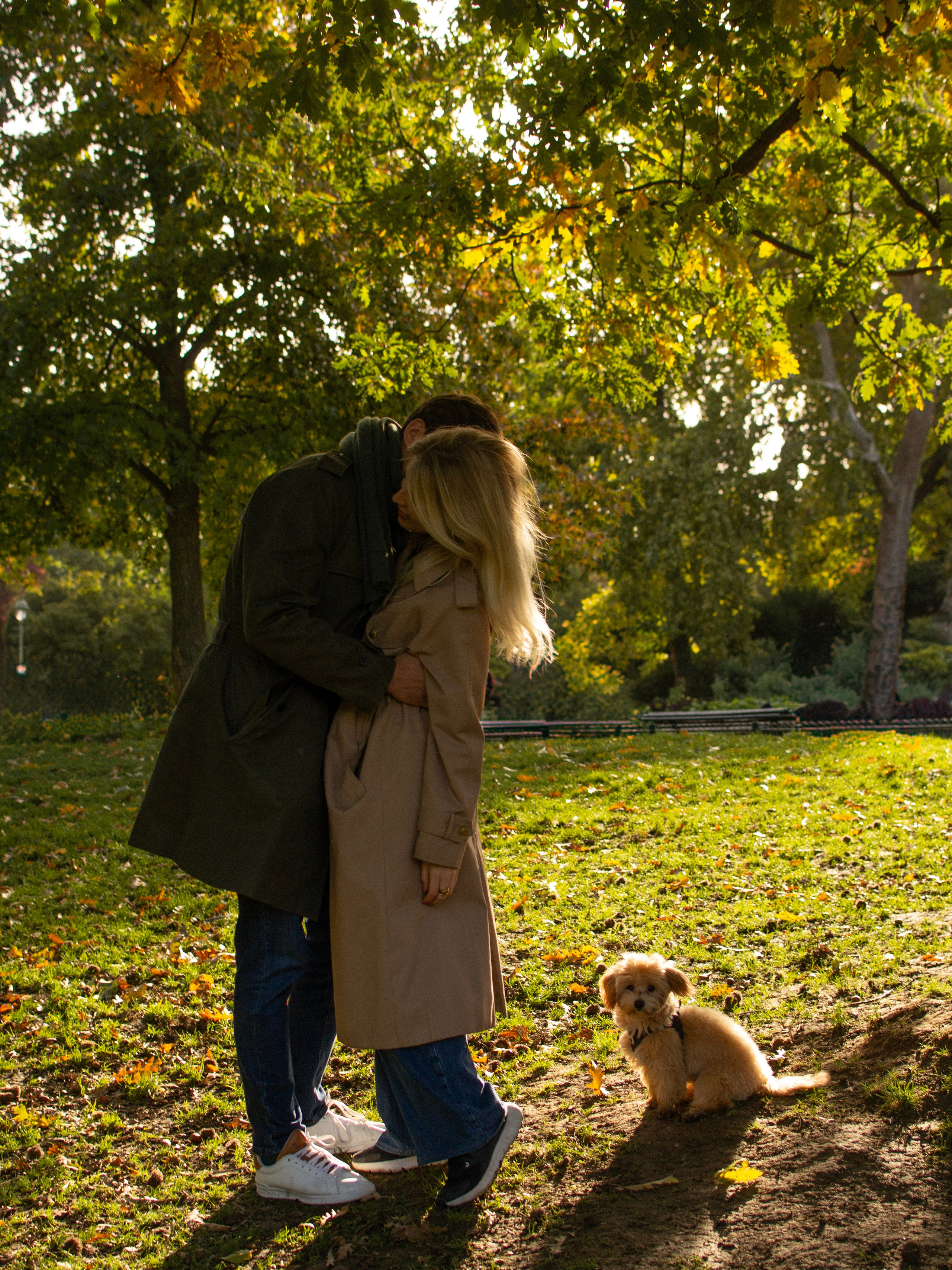 Barney, Nastya et Kolya. Photographe animalier à Paris Anna Pereira