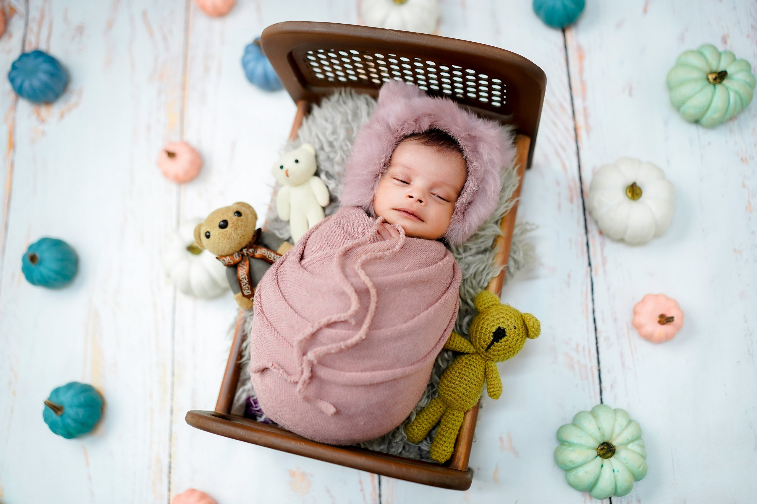 New born. TNF photo & filming