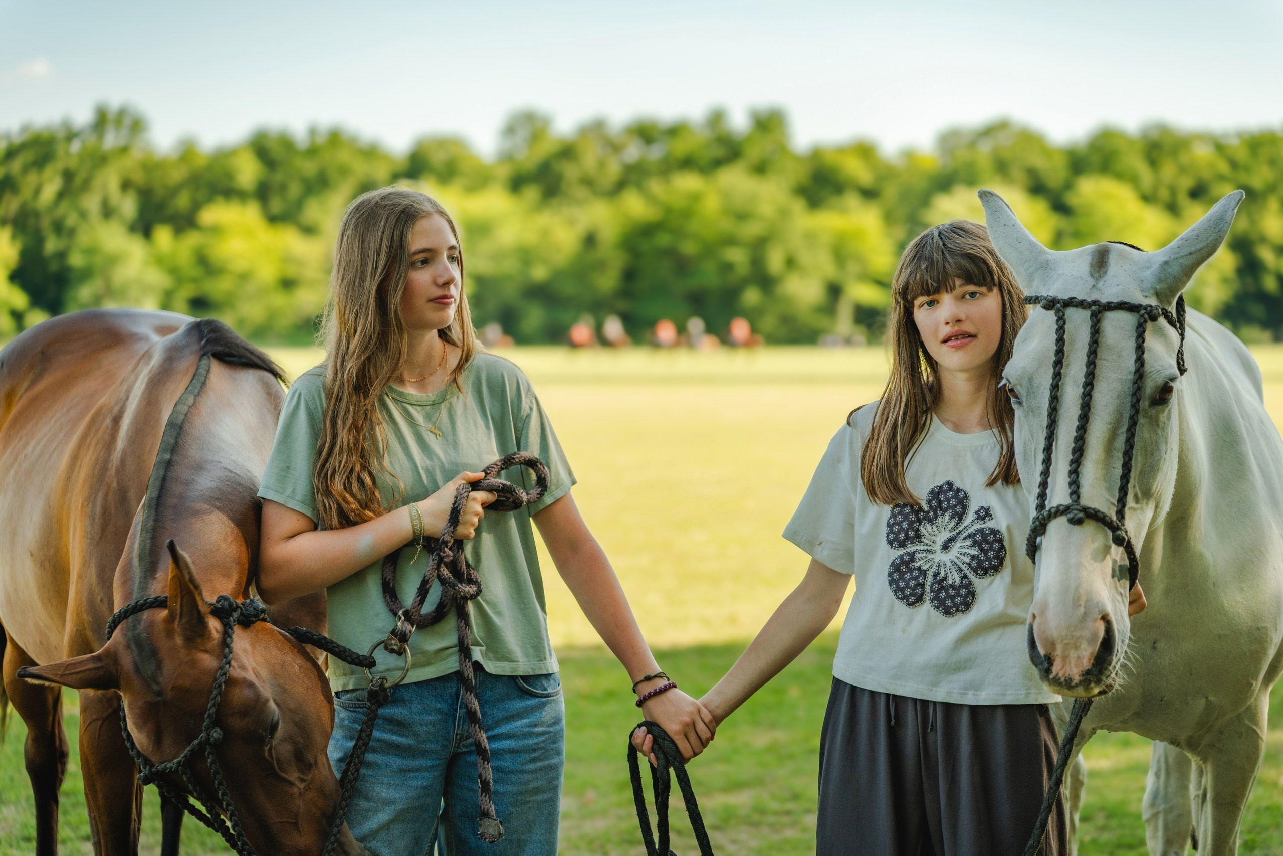 Photo shoot with horses