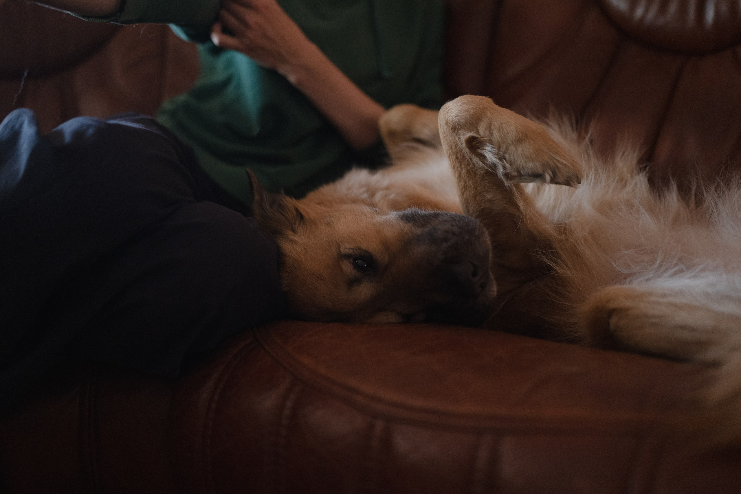 Alena, Vlad and their son Lev. Main