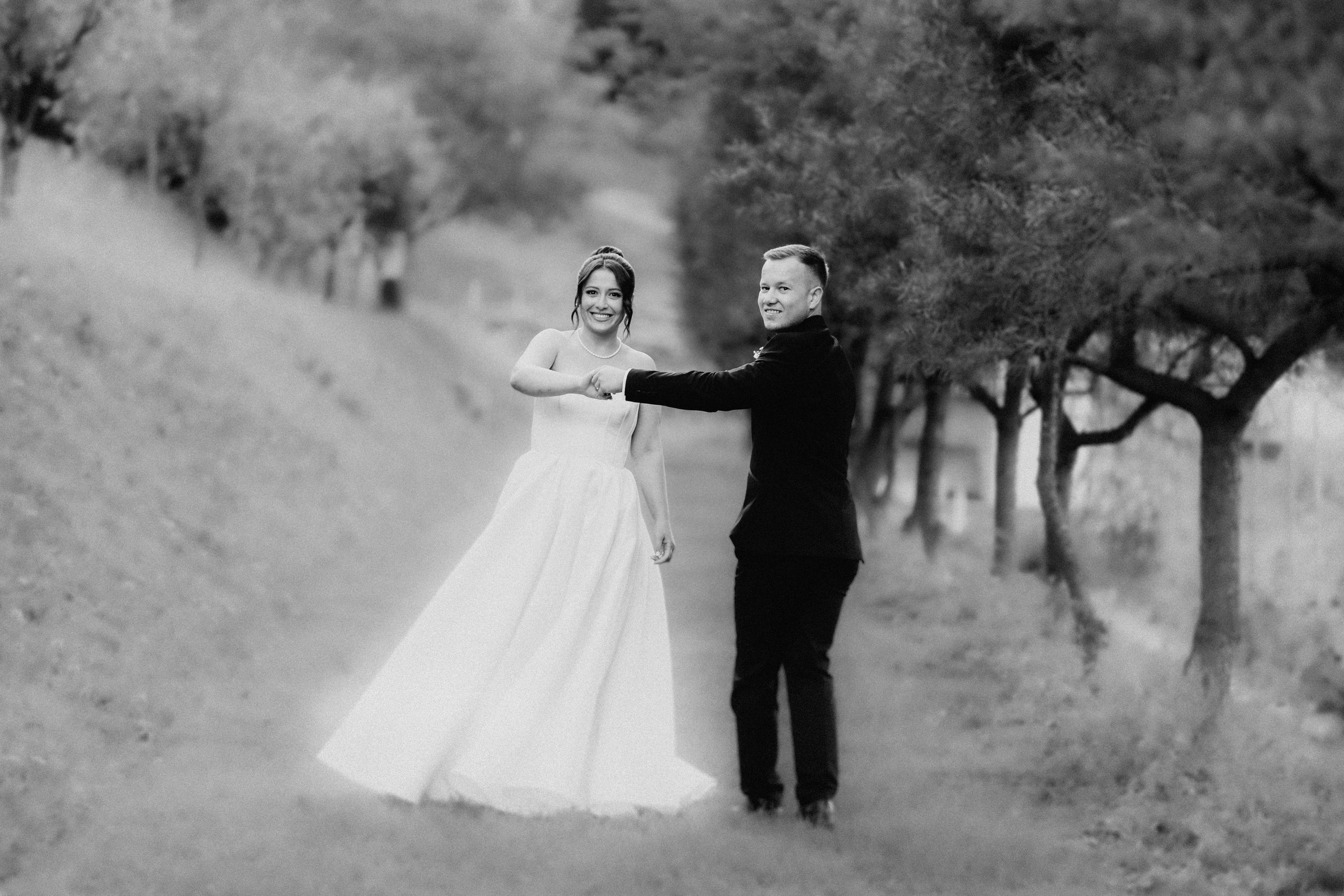 Fotografie-Videografie de nunta Alba Iulia | Vadu Motilor