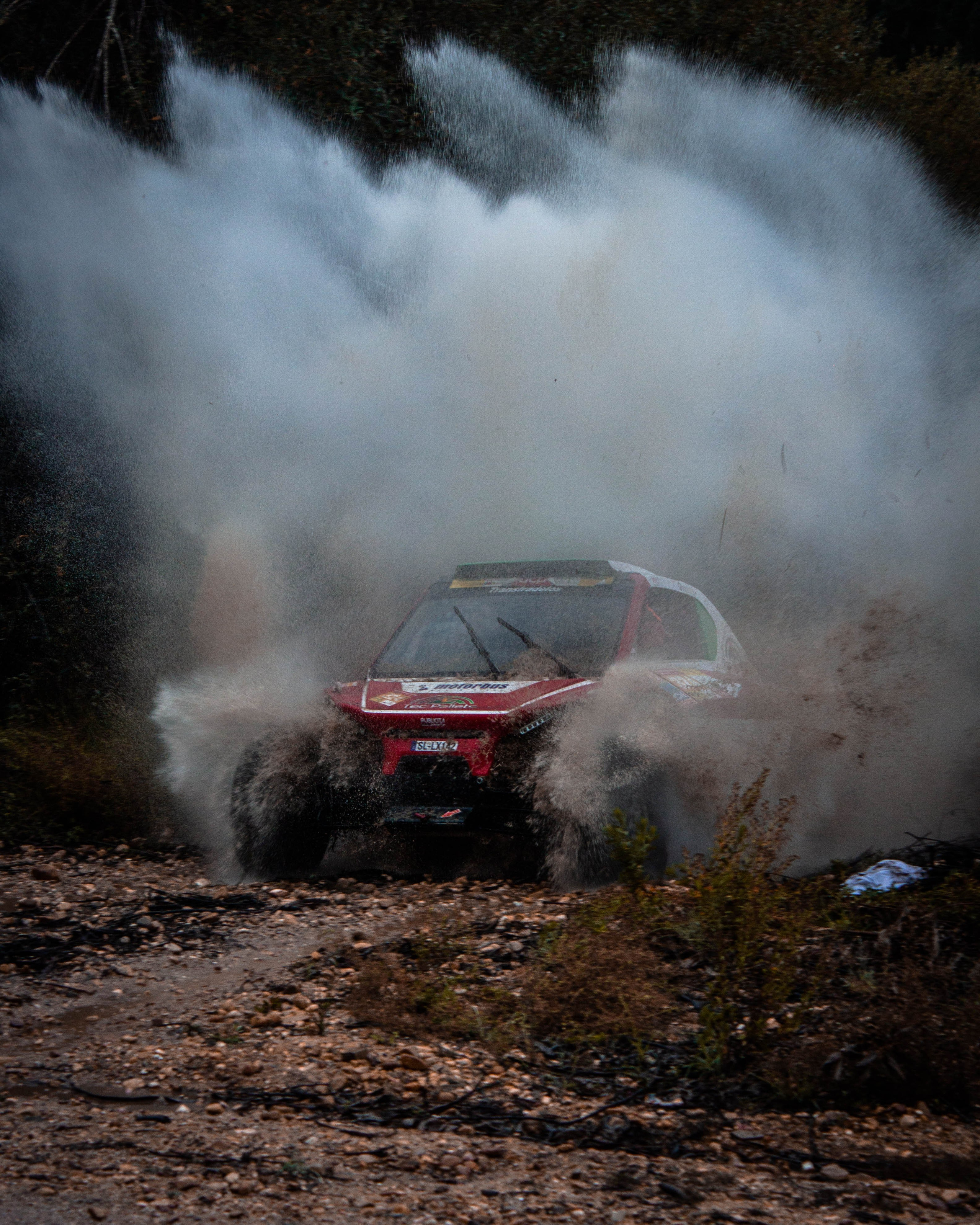 #313 Edgar Reis / Fábio Ribeiro