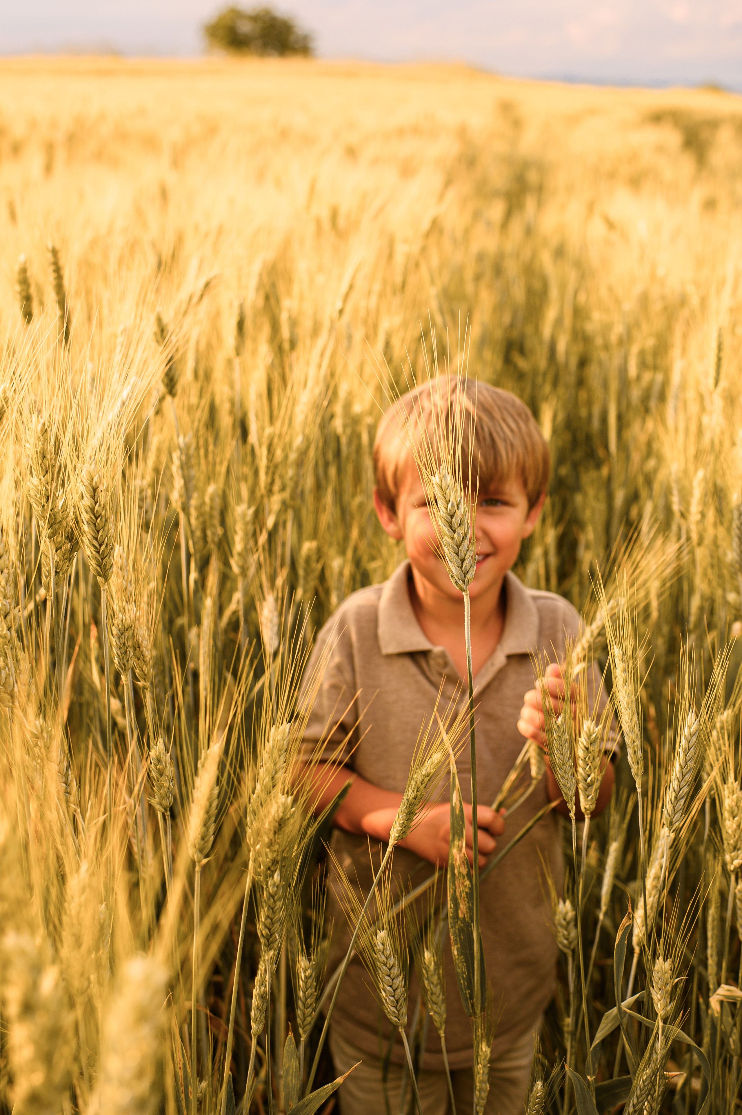 Wheat fields. Семейная, детская, портретная и предметная фотосъемка в Салониках