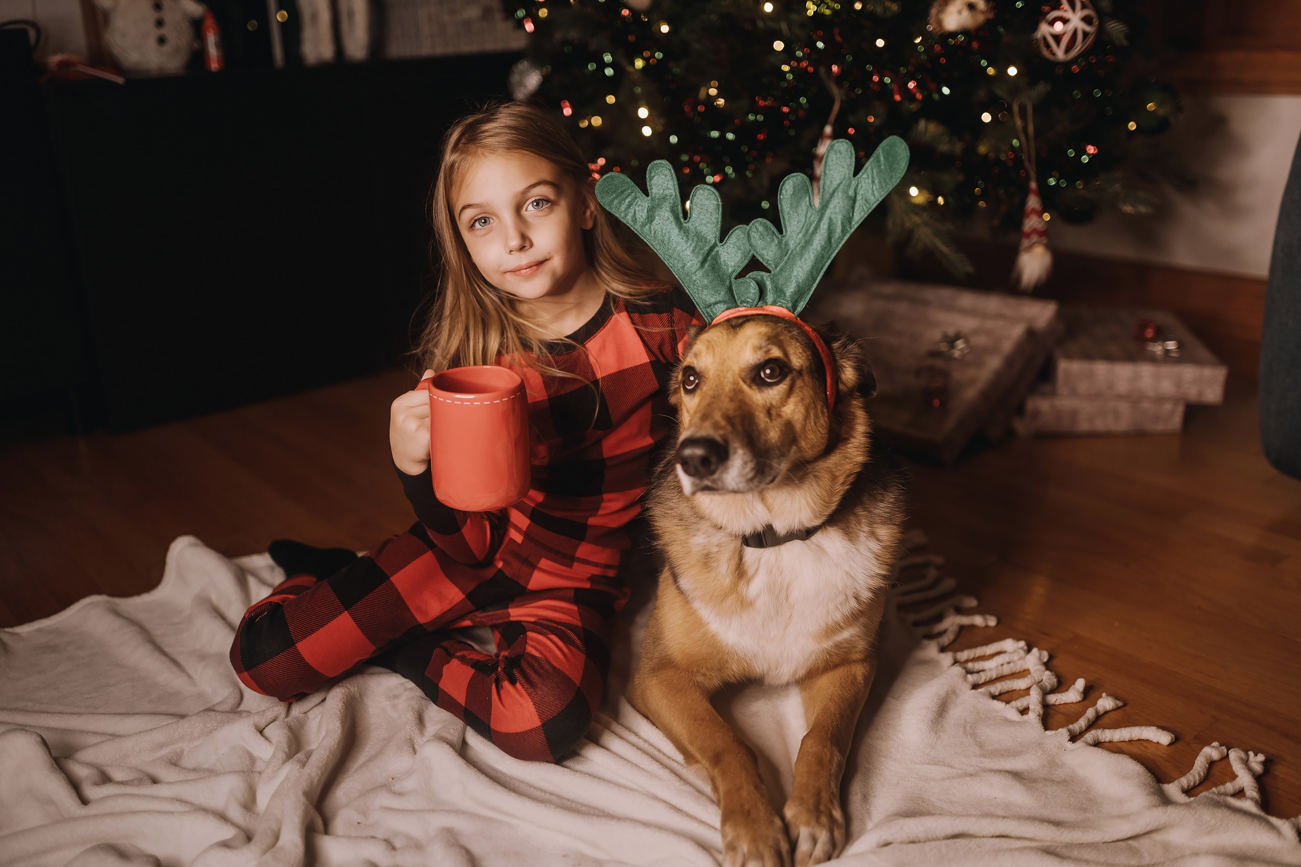 25.11.2023 Christmas Photoshoot 2. Wedding family event photographer in Chicago Nick Yushevich