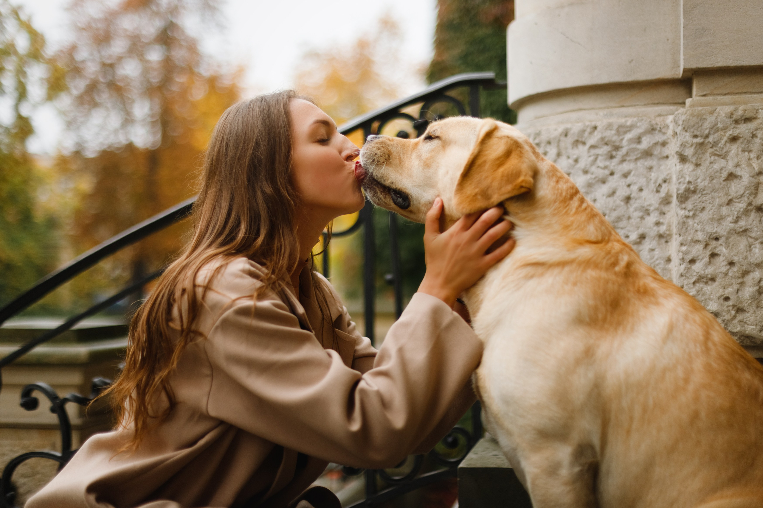 Katya & labrador. Kaja | fotograf psów we Wrocławiu