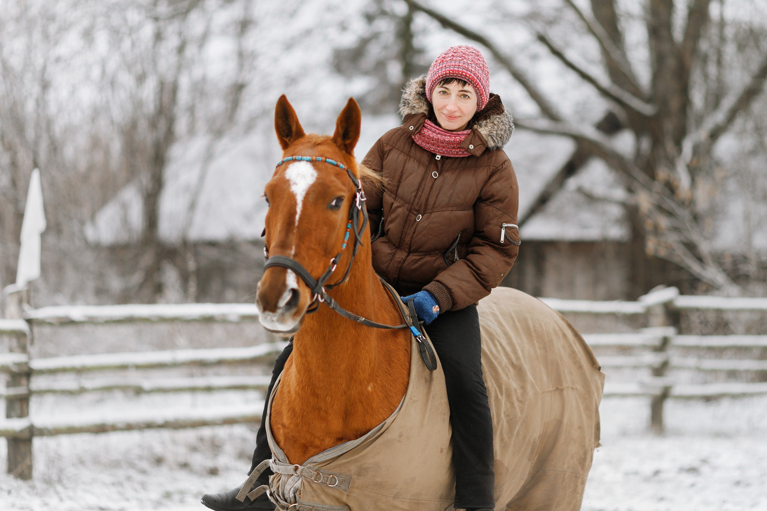 Winter stable. Kaja | fotograf psów we Wrocławiu