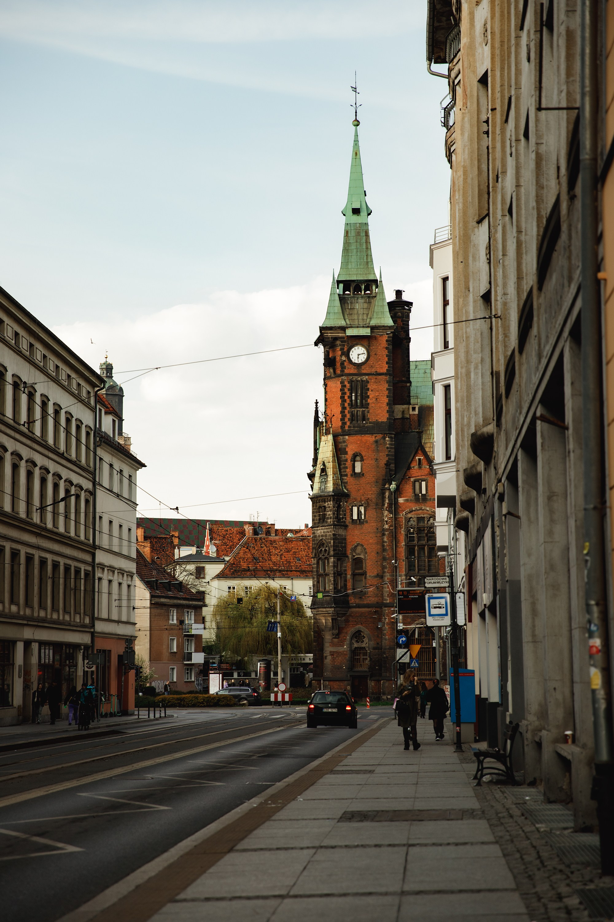 Wroclaw | the best ones. Kaja | fotograf psów we Wrocławiu