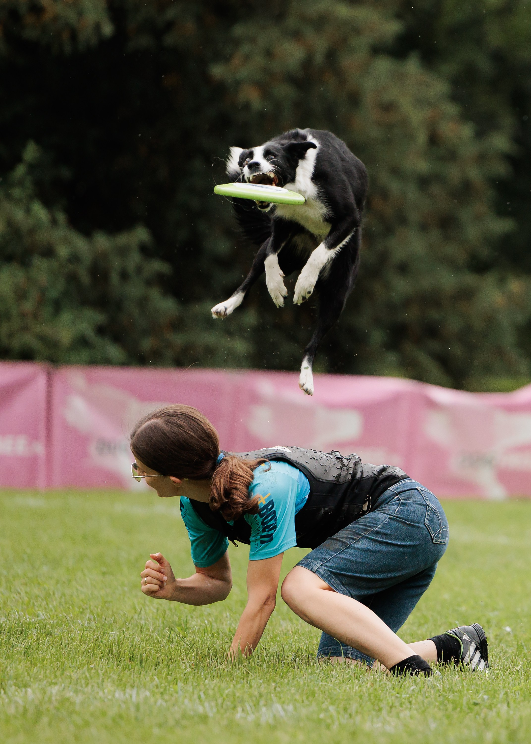 Latające psy, Wrocław'25. Kaja | fotograf psów we Wrocławiu