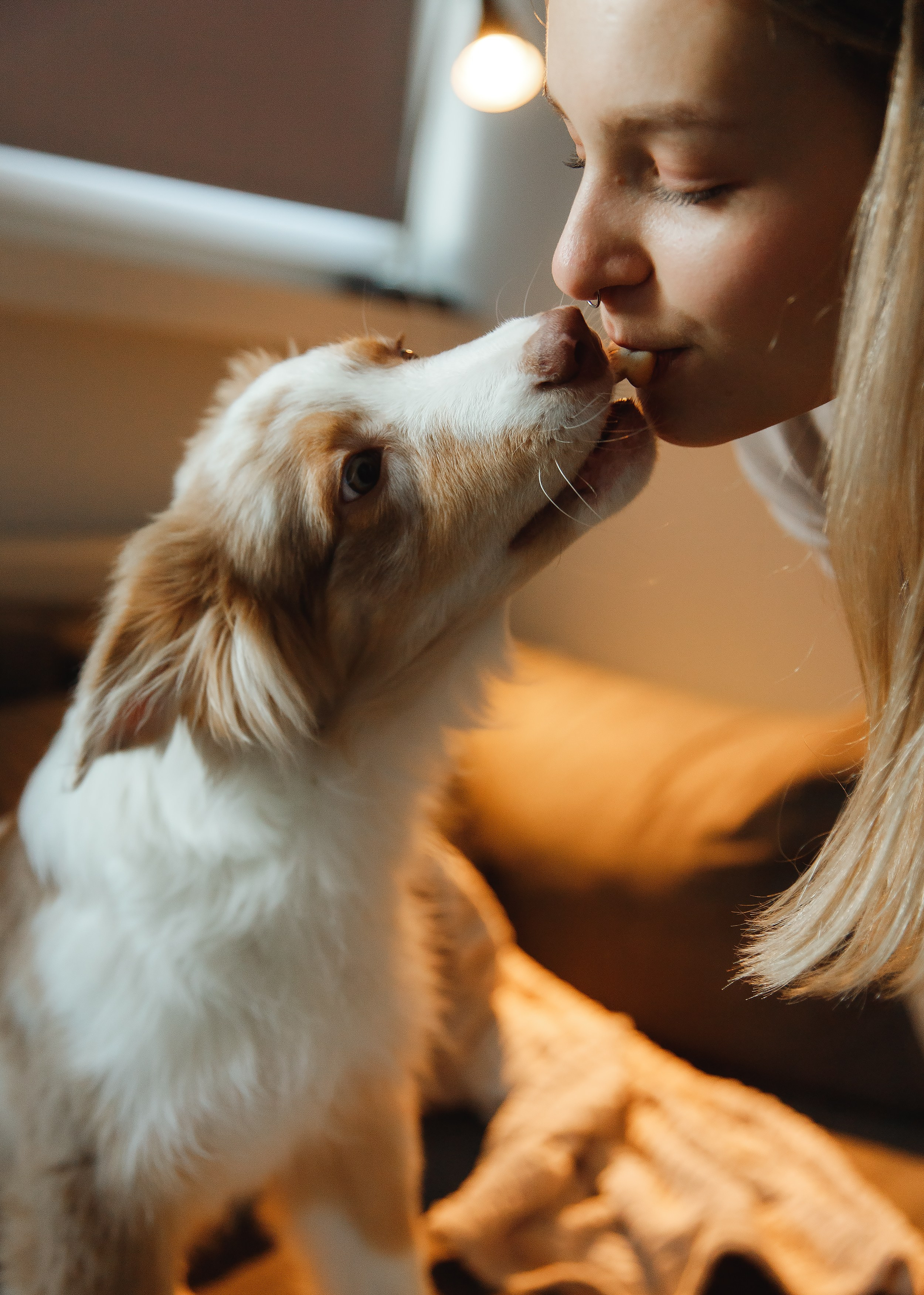 Fotografia psów Wrocław. Kaja | fotograf we Wrocławiu | ludzie i psy