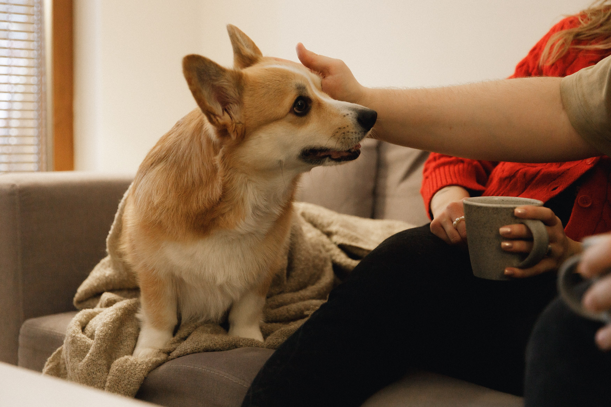 Dasha & Daisy. Kaja | fotograf psów we Wrocławiu