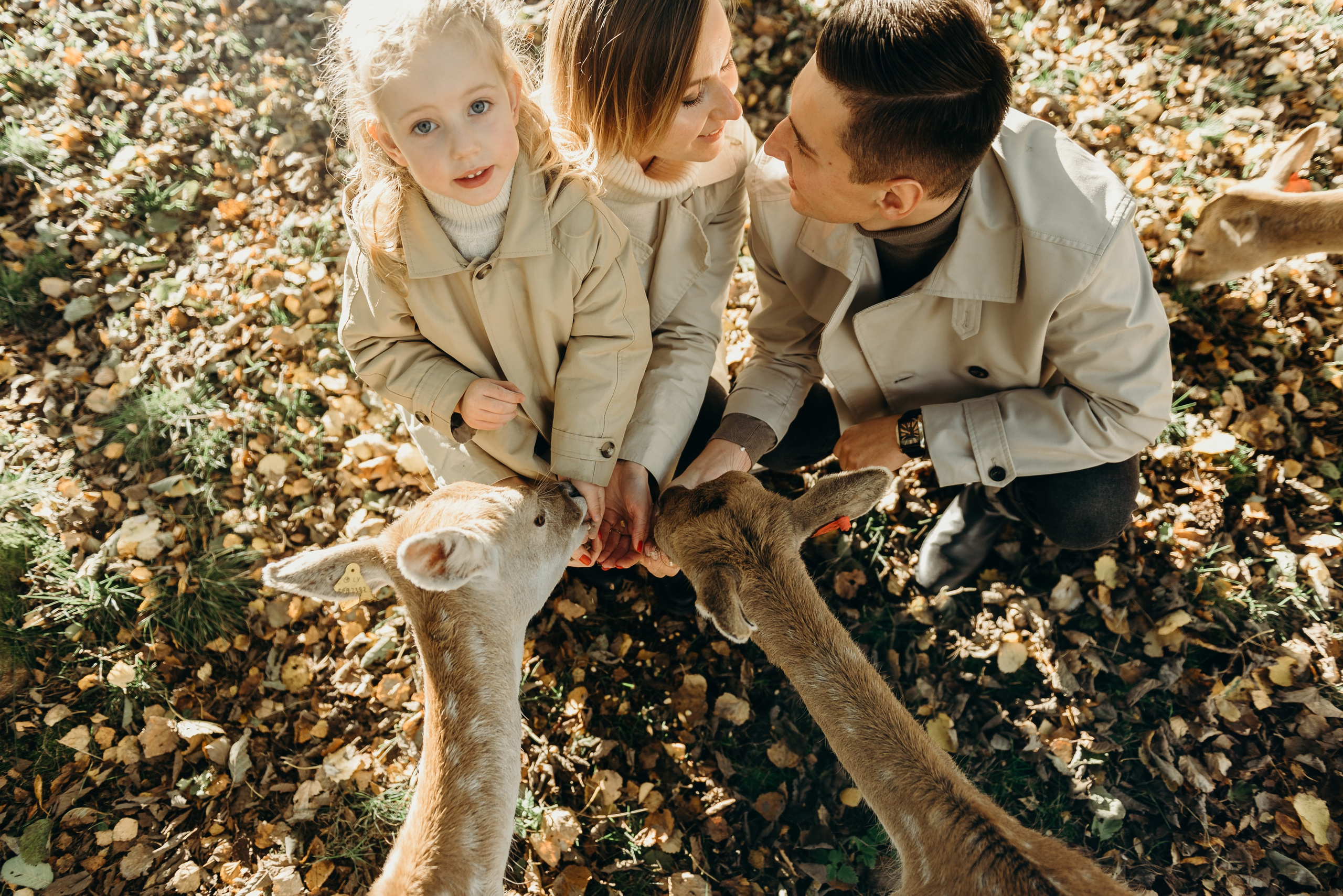 Briežu parks. Свадебный фотограф в Риге — Вячеслав Лучненков