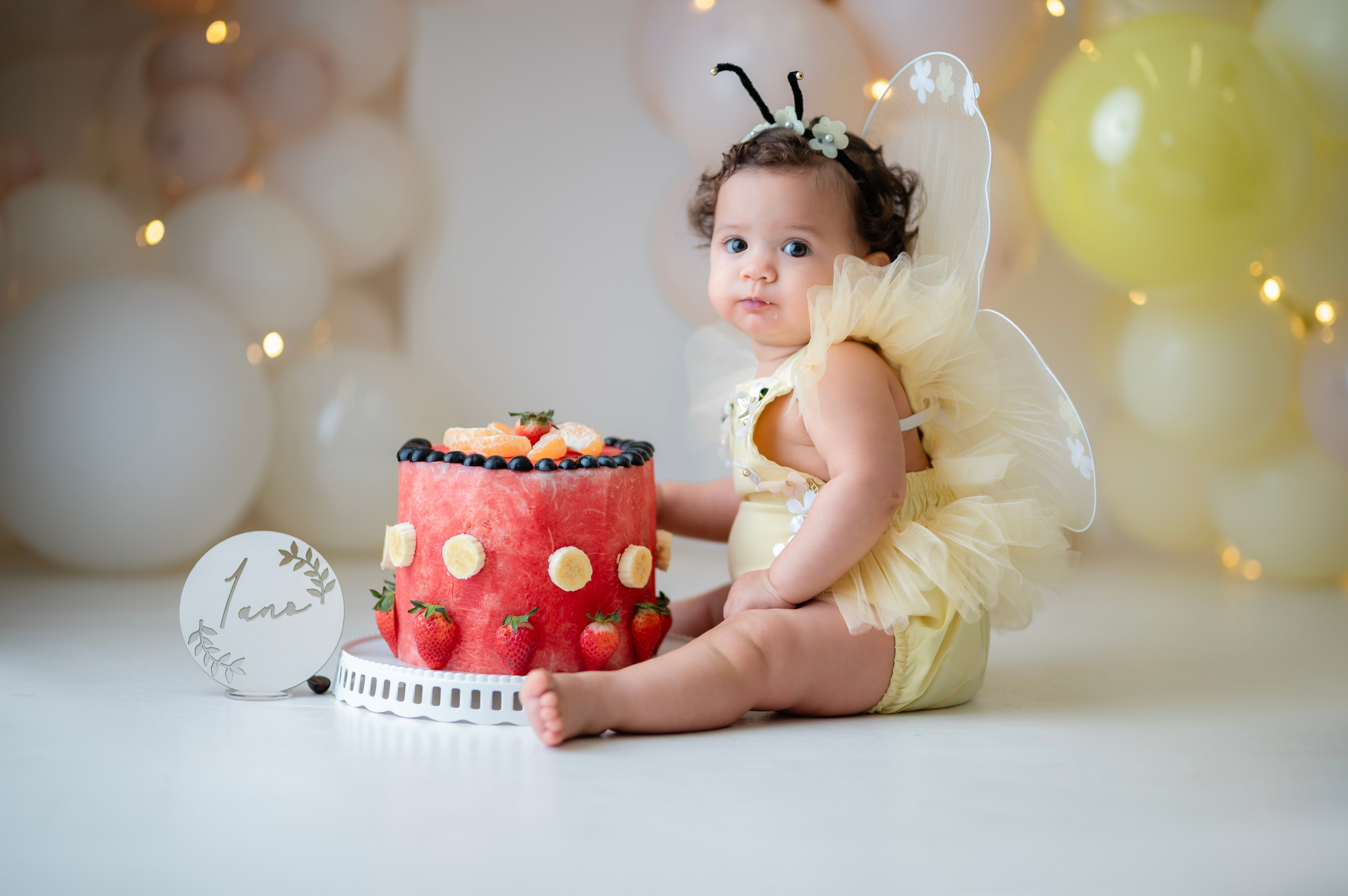 Smash. Fotografamos famílias, gestantes, bebês e ensaios individuais