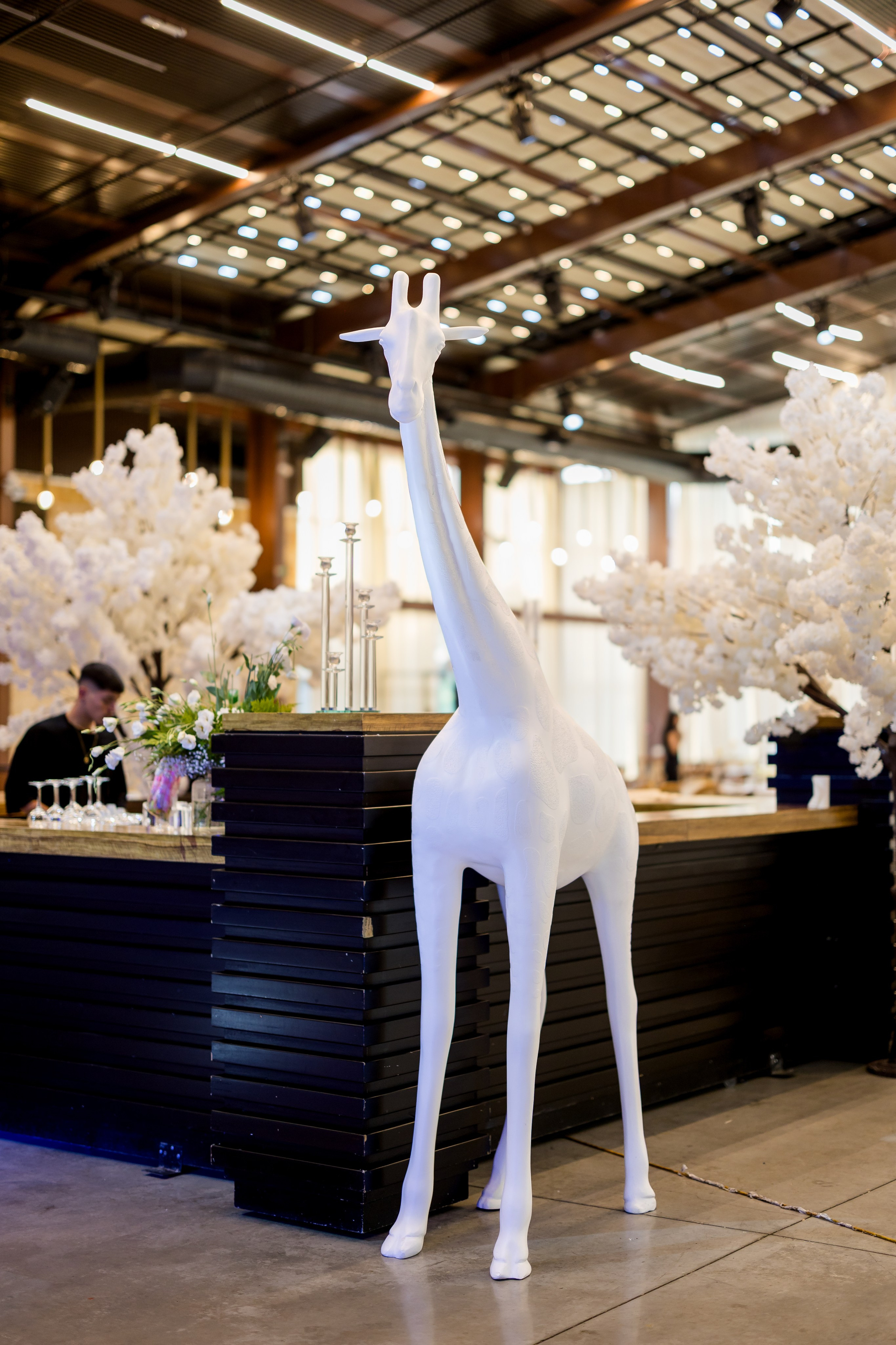 Osher & Or. AMIR BUCHNIK PHOTOGRAPHER