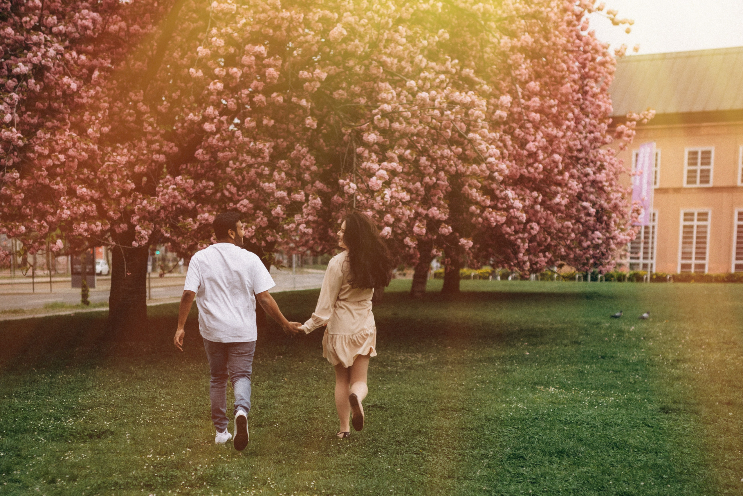 Family history in Sakura. Семейный фотограф Лейпциг, Германия