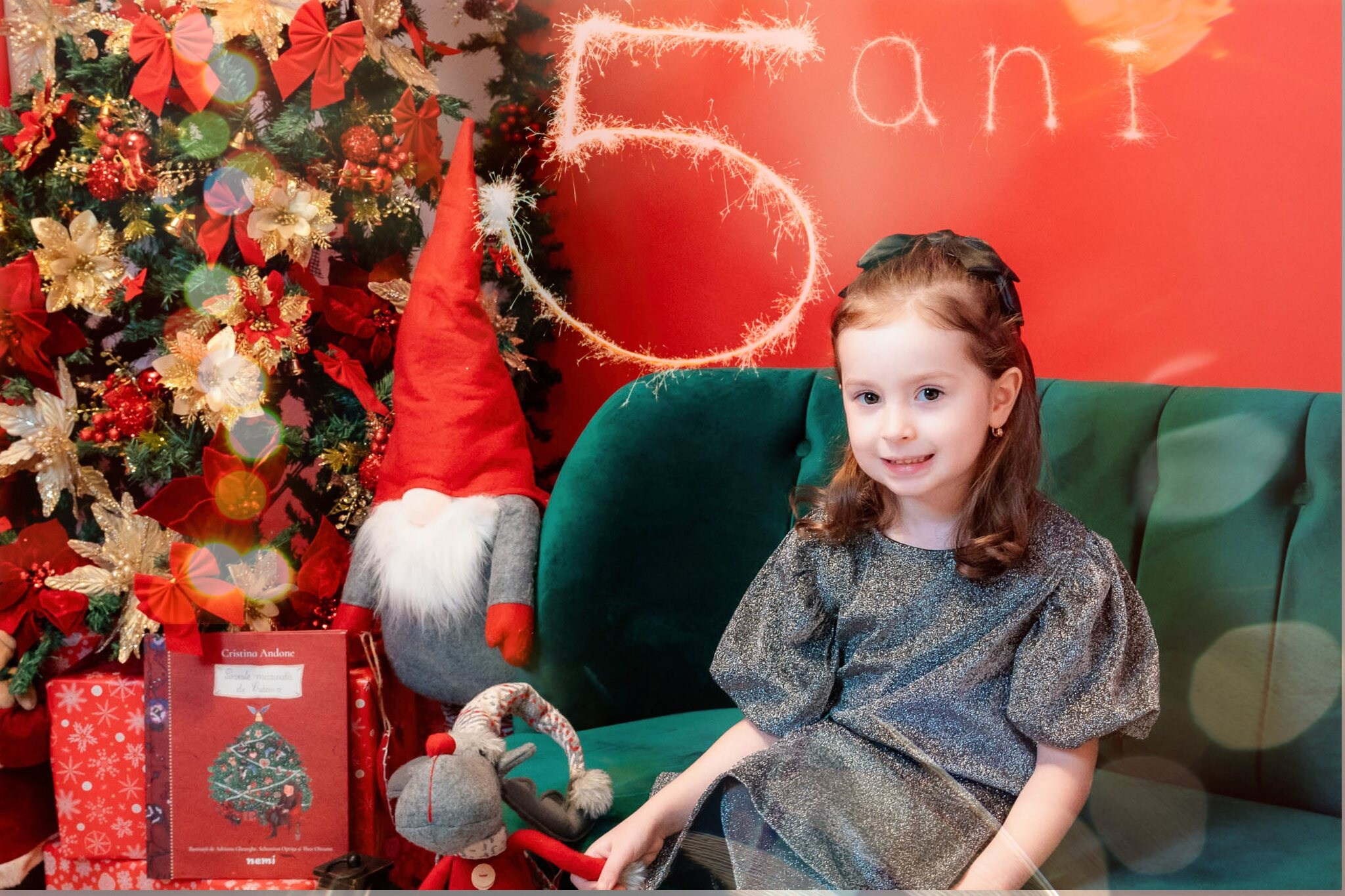 Sedinta Craciun Nicoleta