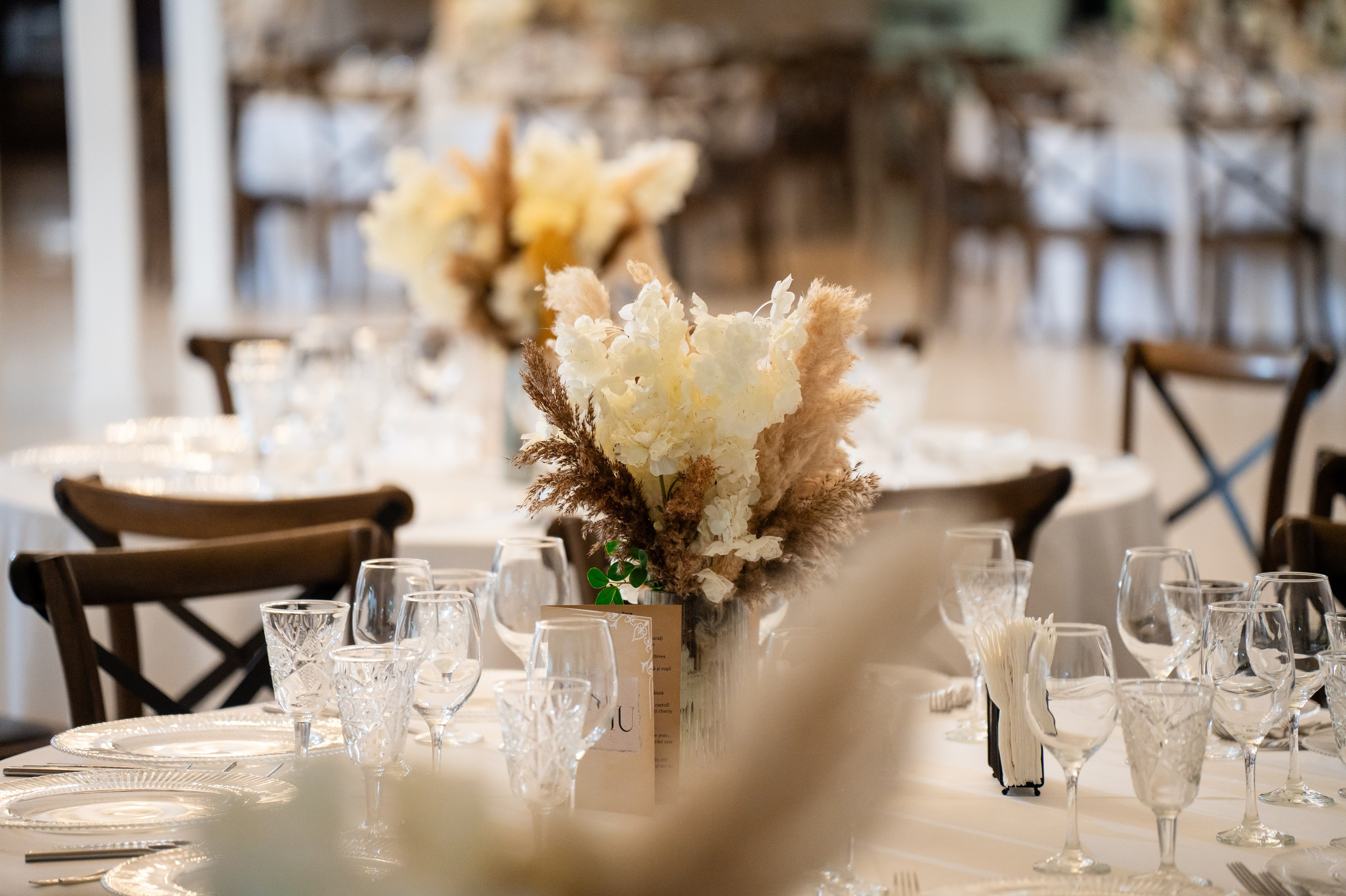 Nunta Andreea&Eugen Craiova 2024. MDimaFotoStudio. Fotograf de nuntă, evenimente private și de familie