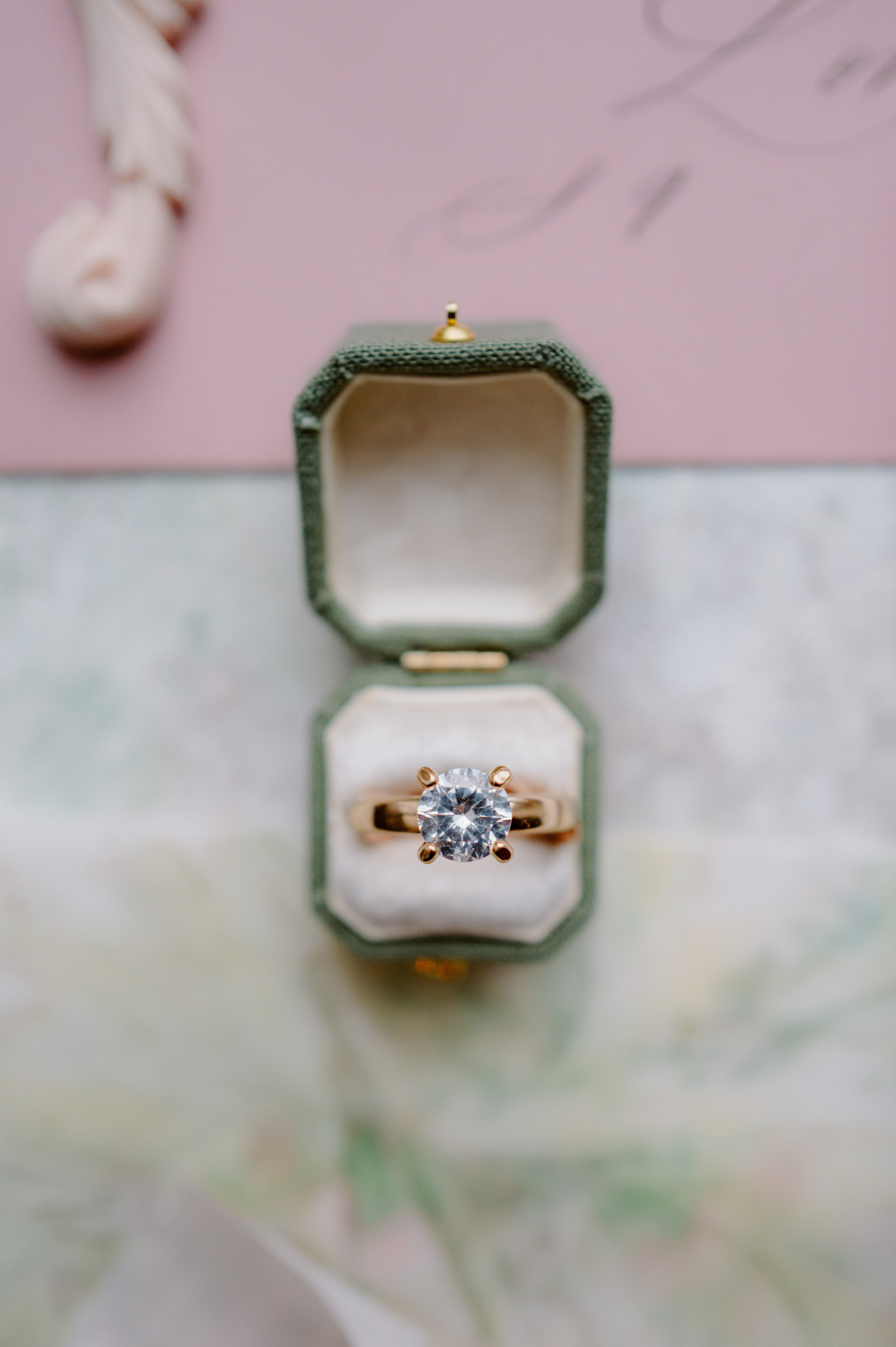 Sabrina and Pranav. Wedding photographer and videographer New York | New Jersey