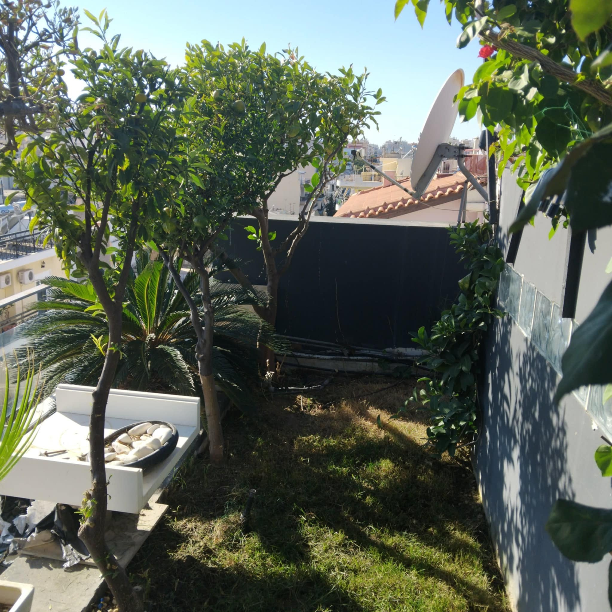 Κήπος Πειραιά. Geoponitikon-Όταν η Επιστήμη συναντά την Τέχνη στο Φυσικό Τοπίο!