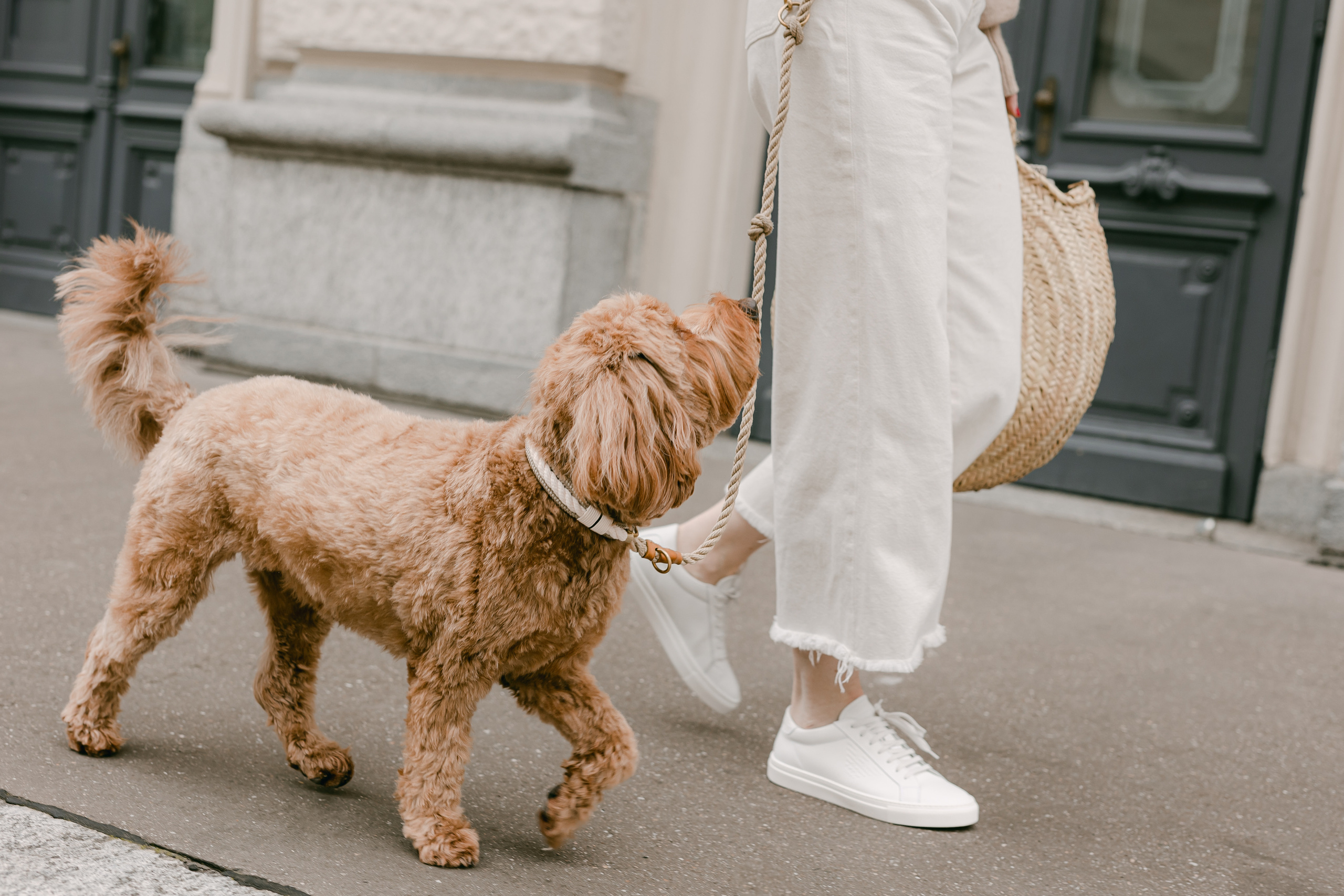 Pupaffair. Familien- & Hochzeitsfotografin Schweiz. Valeria Diaz in Zürich und Umgebung
