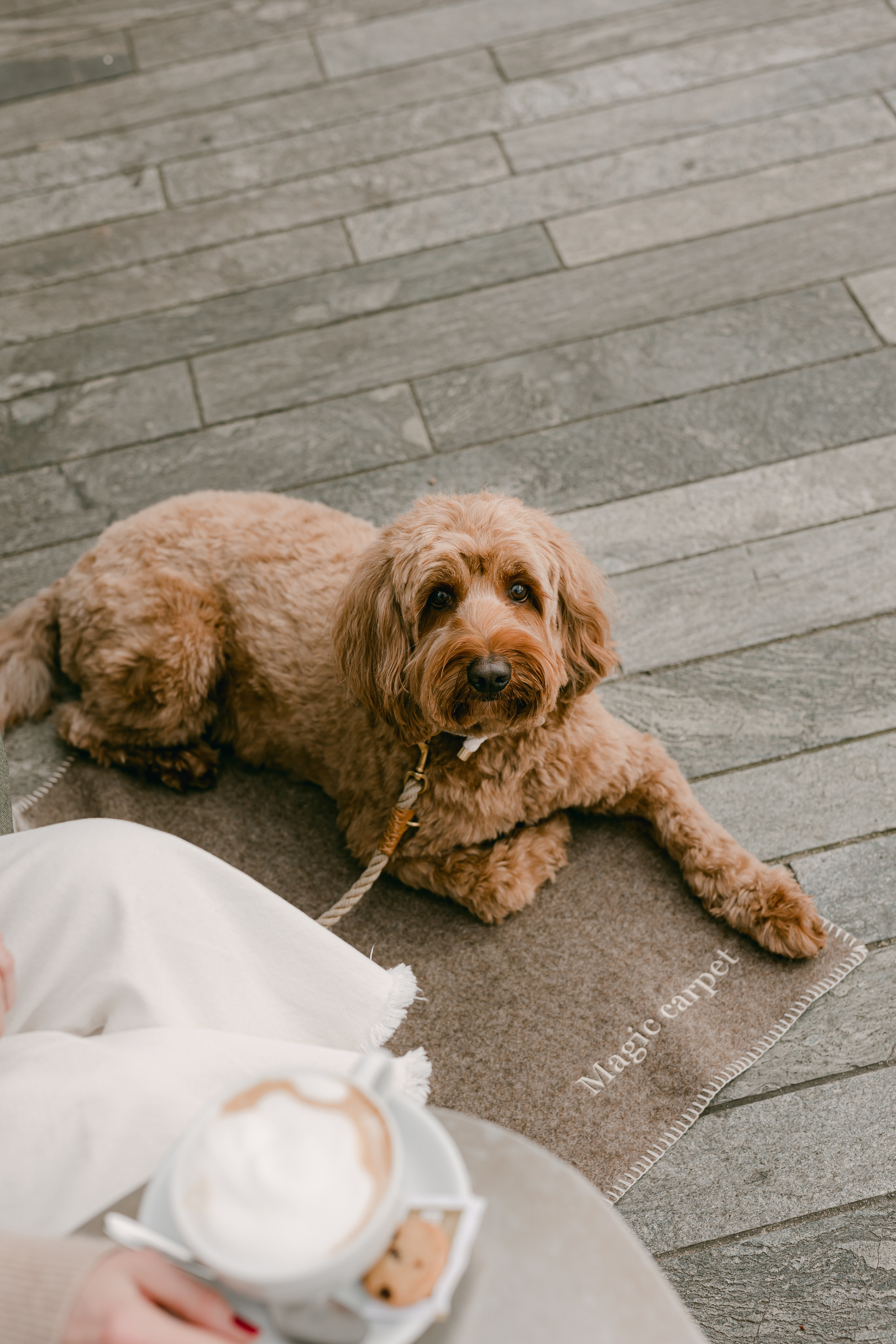 Pupaffair. Familien- & Hochzeitsfotografin Schweiz. Valeria Diaz in Zürich und Umgebung