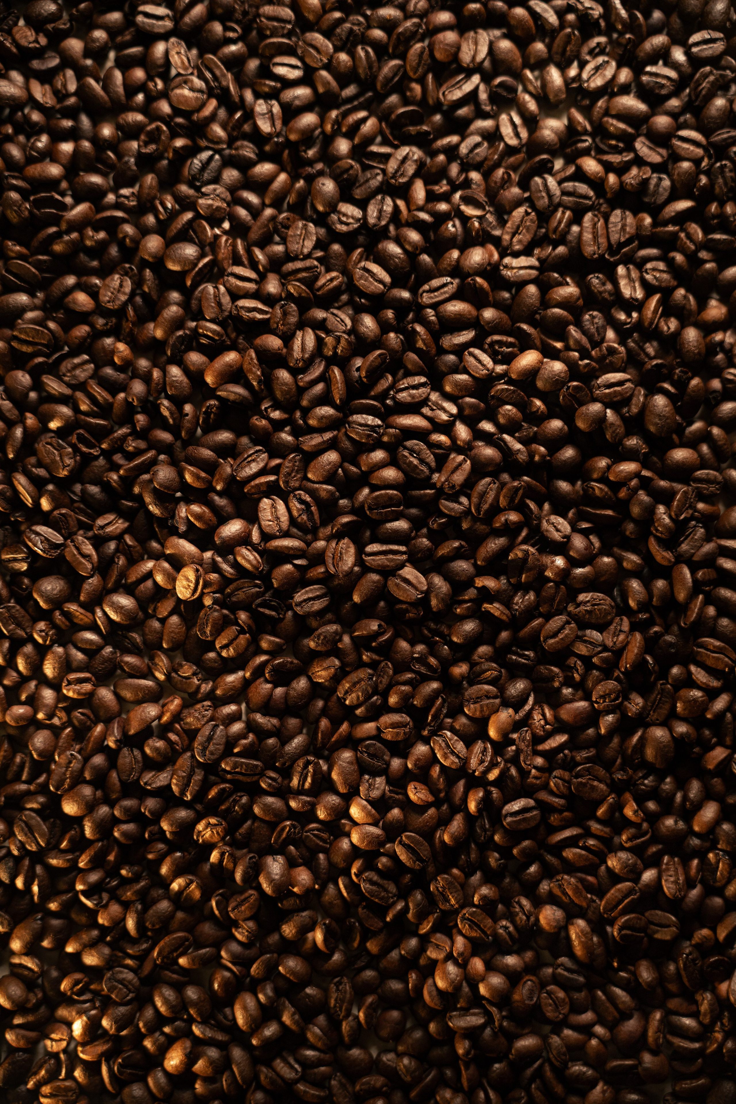 GALLERY. Χαλβάς Ελευθερίου