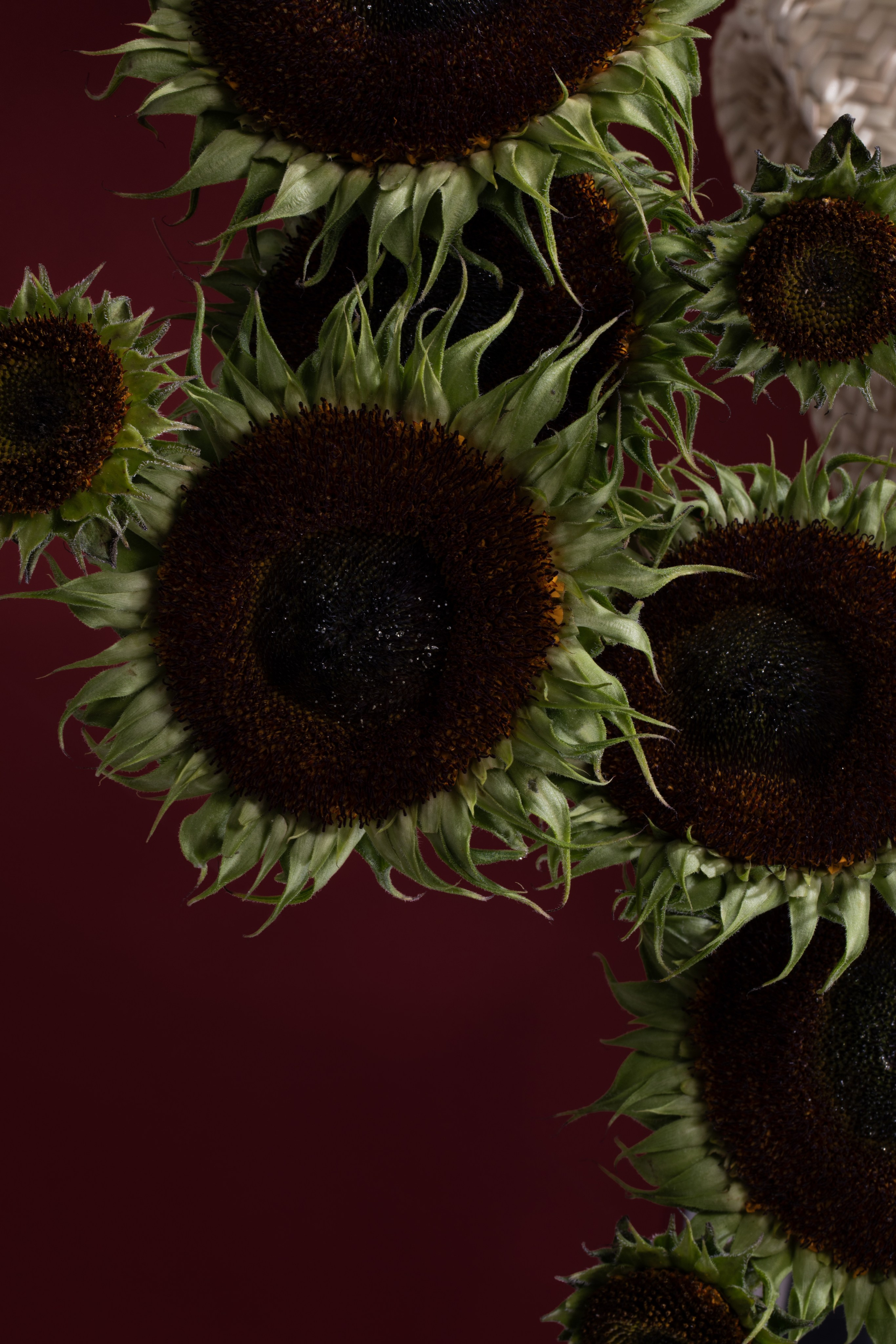 Ejercicio de estilismo parte del Máster 'Vanguardia y Creatividad' de Madrid Flower School.