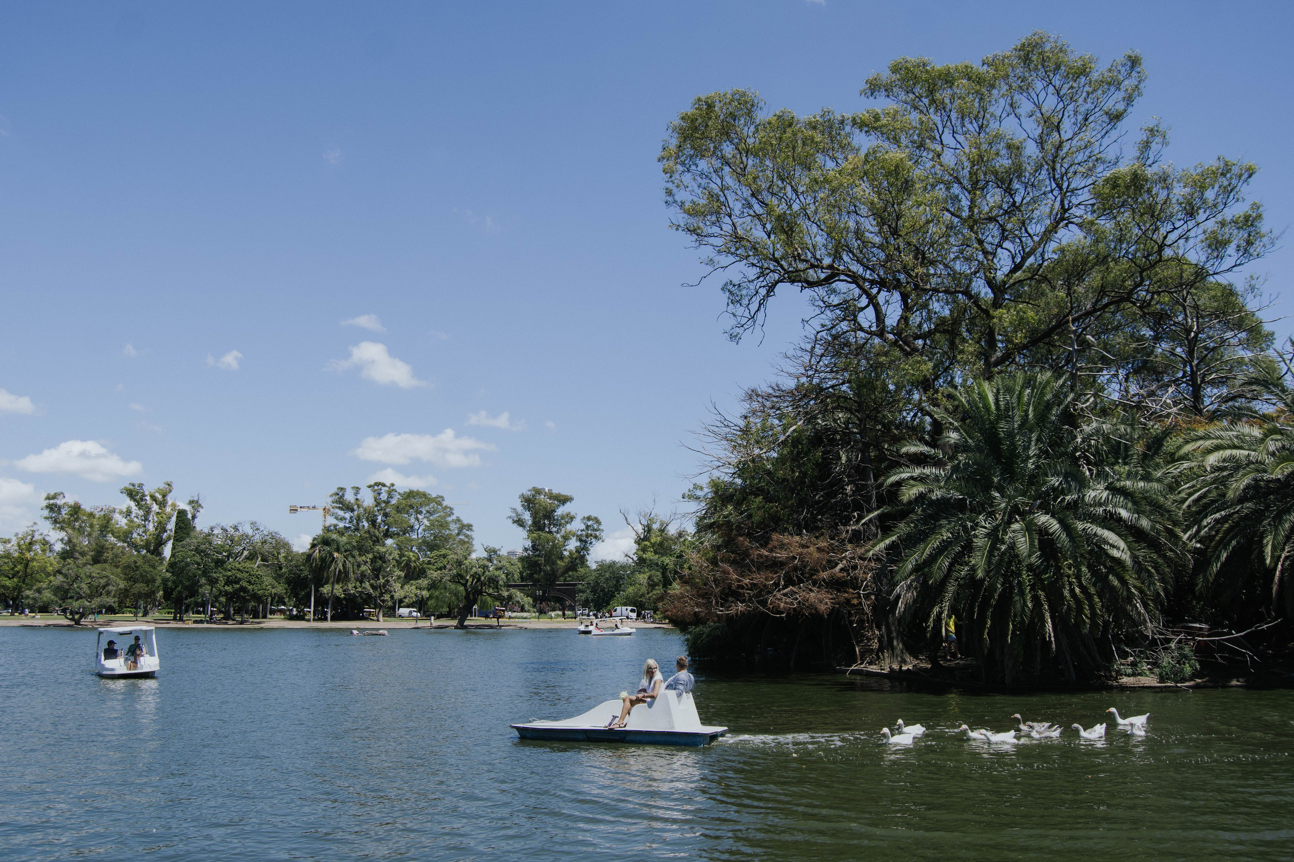 Wedding. Reportage shoots in Buenos Aires. Photographer @elmirkami in the city of Buenos Aires