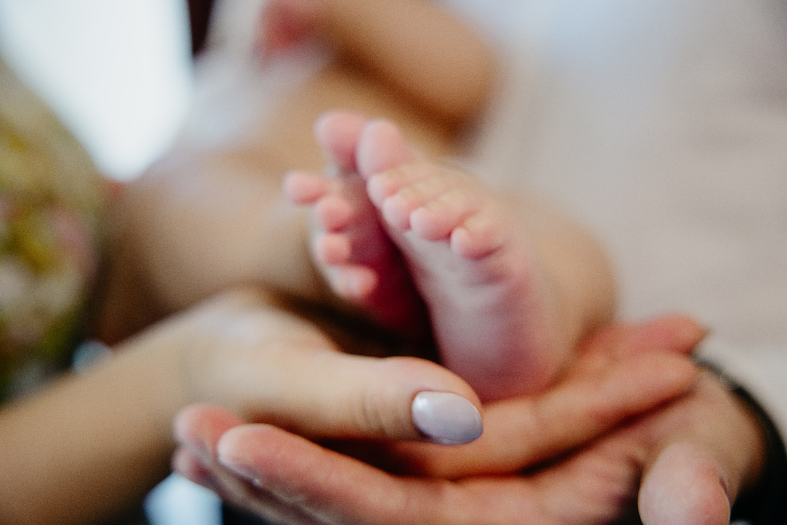 Fotografie De Botez MdimaFotoStudio. MDimaFotoStudio. Fotograf de nuntă, evenimente private și de familie