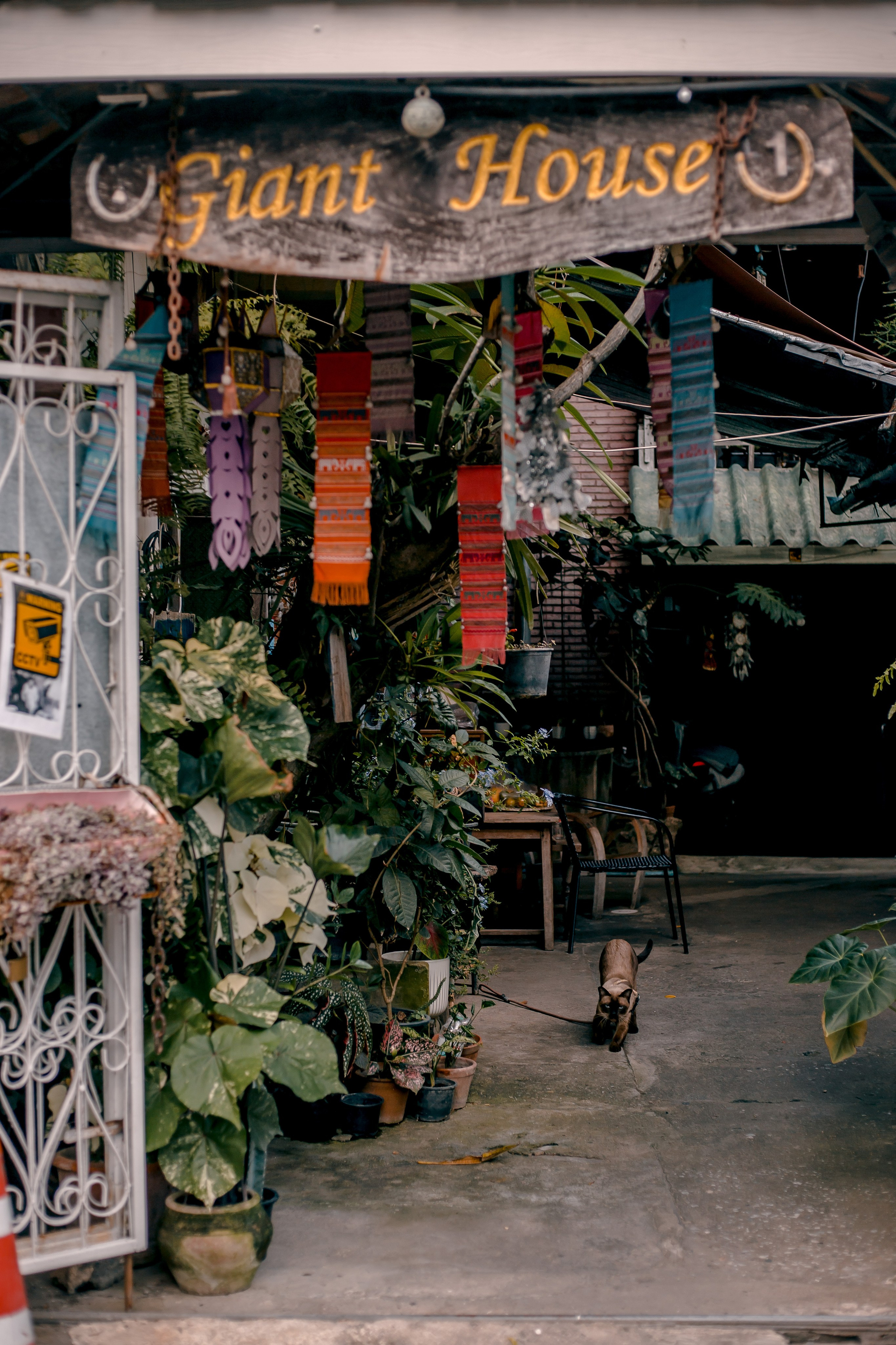 Thailand, Chiang Mai. Art Photographer