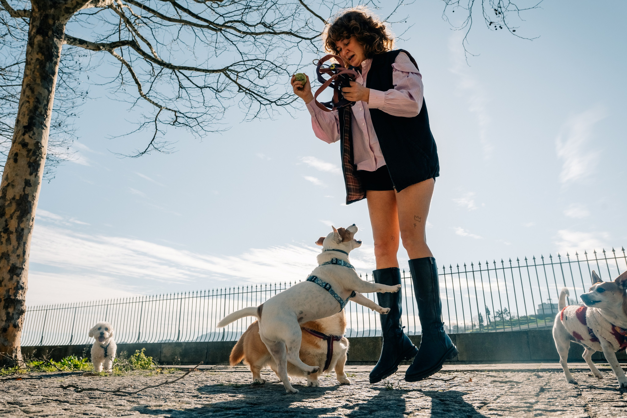 Yana & Doggos in Bonfim. Maria Sher. Professional photographer from Porto, Portugal