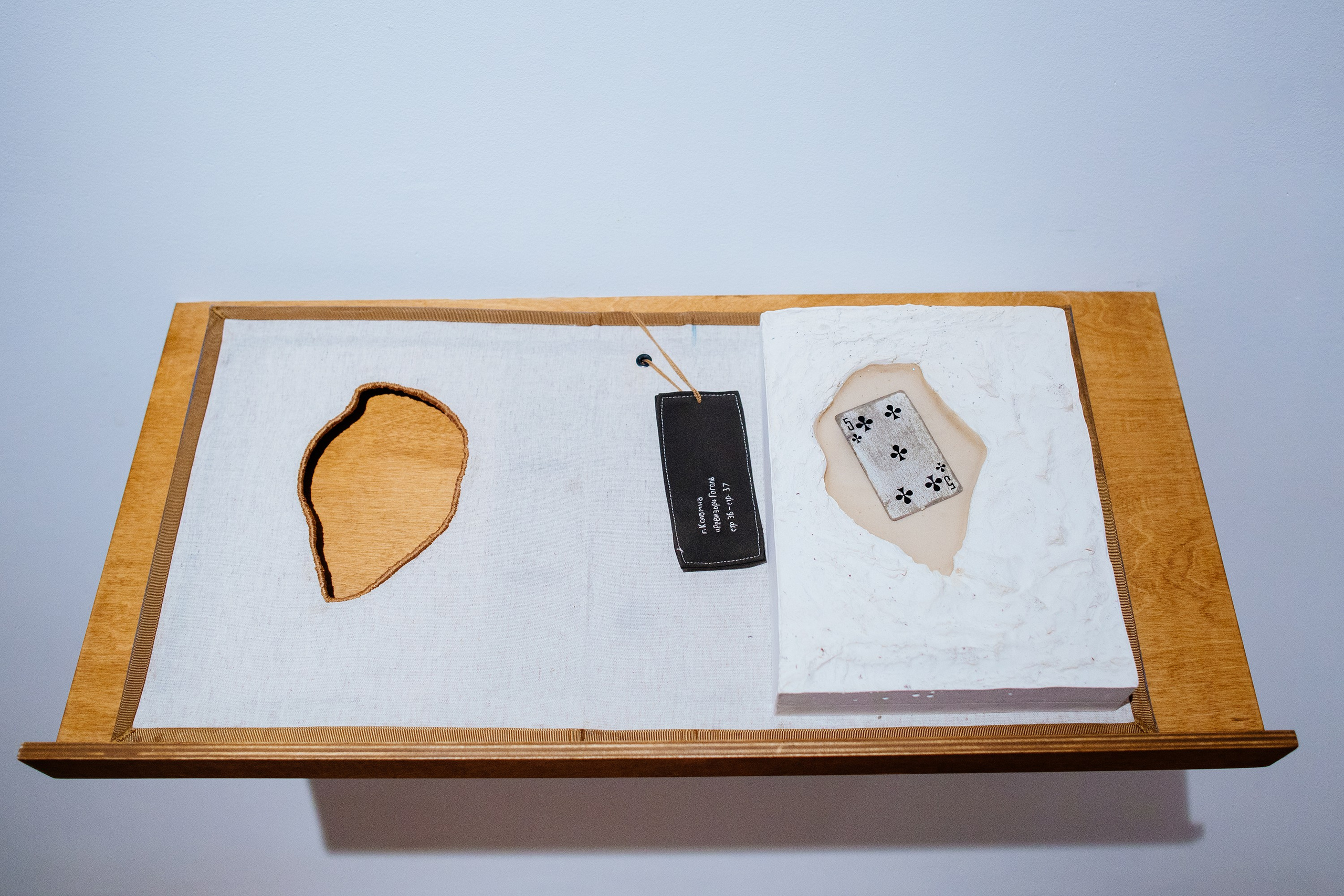 The Worlds i[i] / 2021 — IN-PROGRESS. Daria Goncharova / Conceptual artist