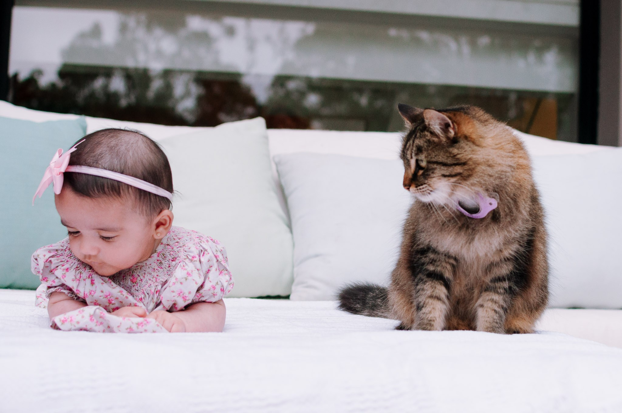 Ensaio de familia, menina e o gato olhando para o mesmo lado.