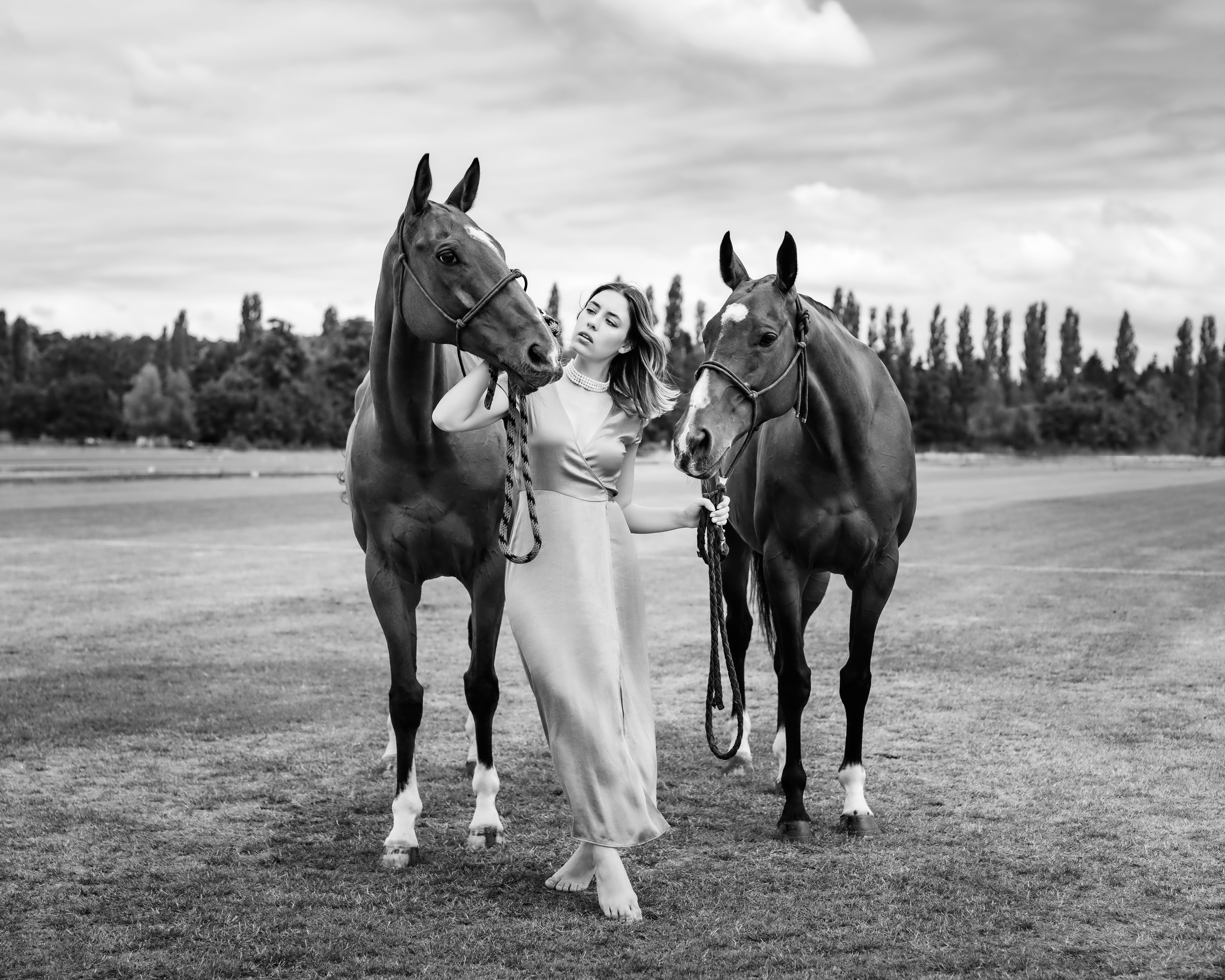 Photo shoot with horses