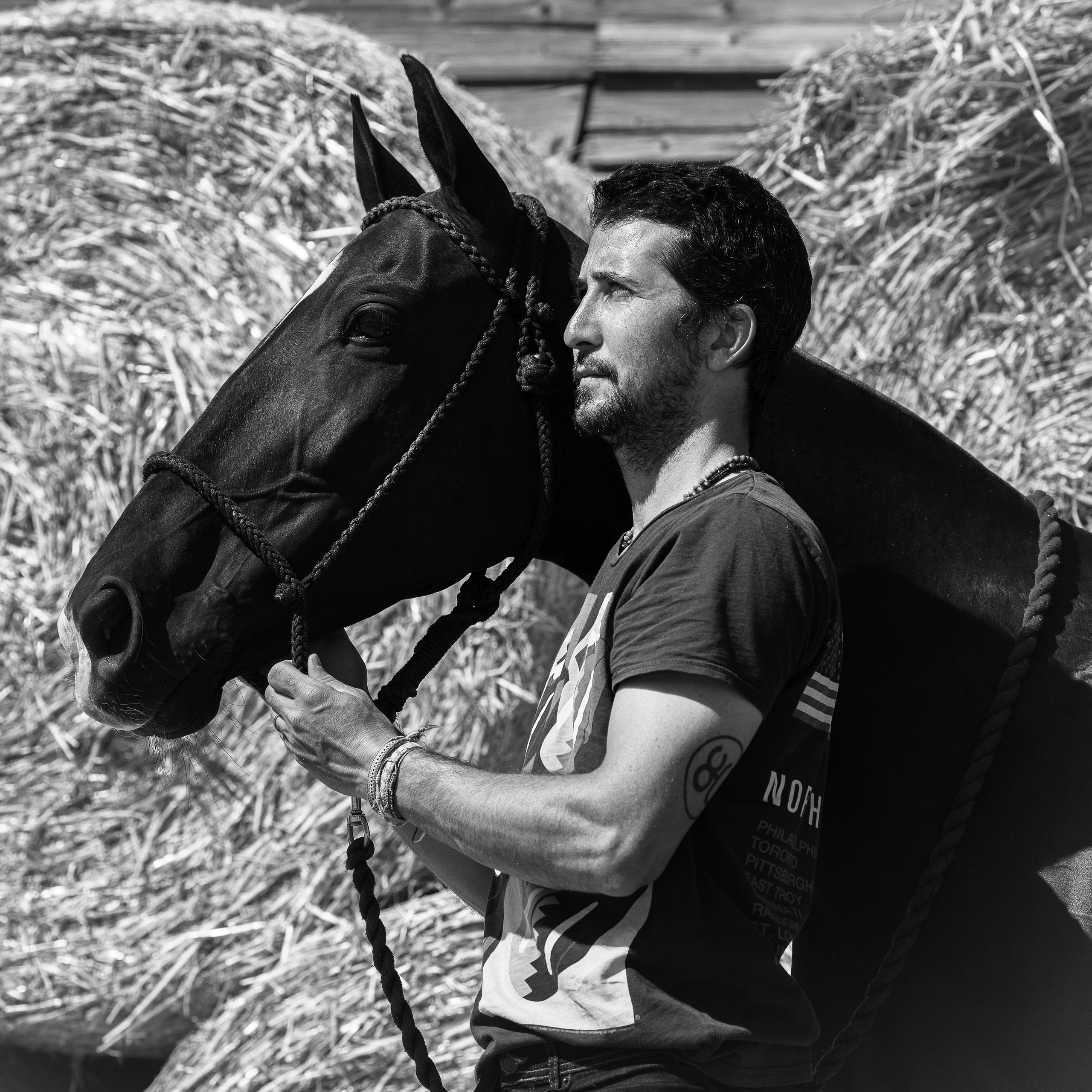 Photo shoot with horses