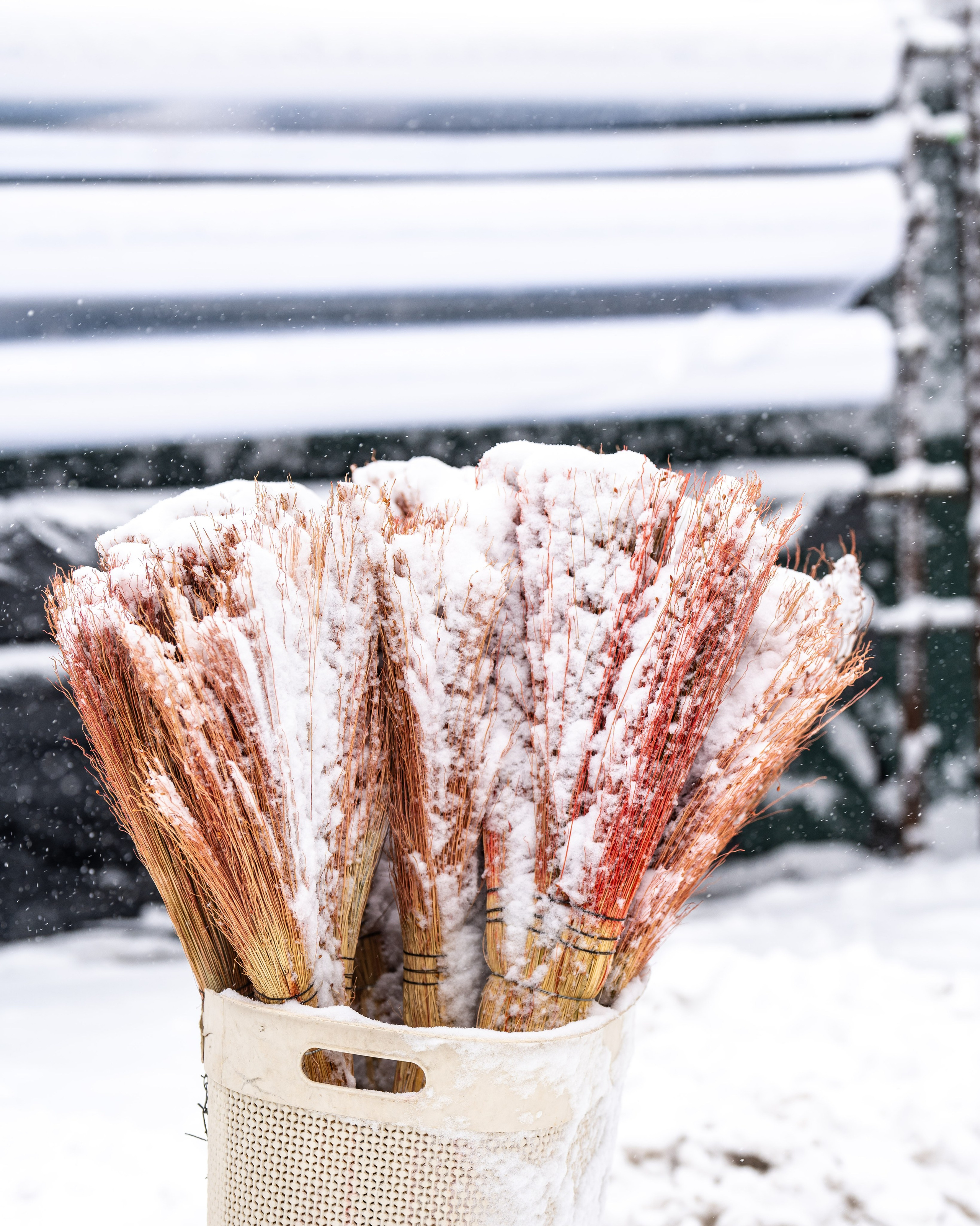 Снег. Георгий Намазов | Фотограф в Ташкенте