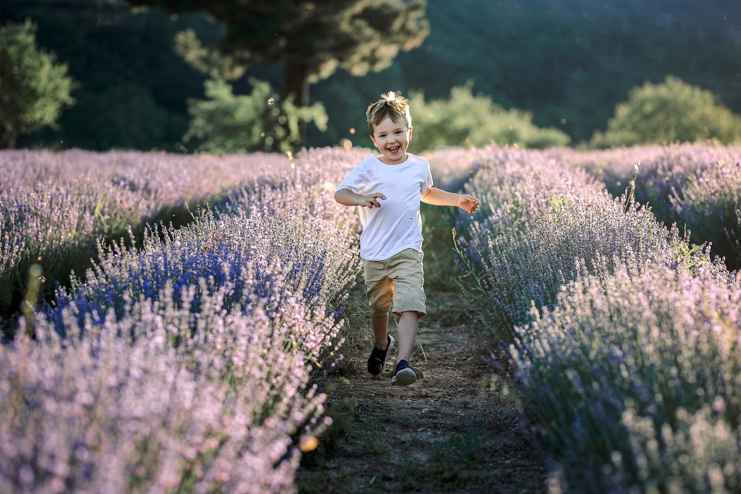 Lavender in Antalya. Photographer in Turkey, Antalya, Kemer, Belek, Side, Kas, Fethiye