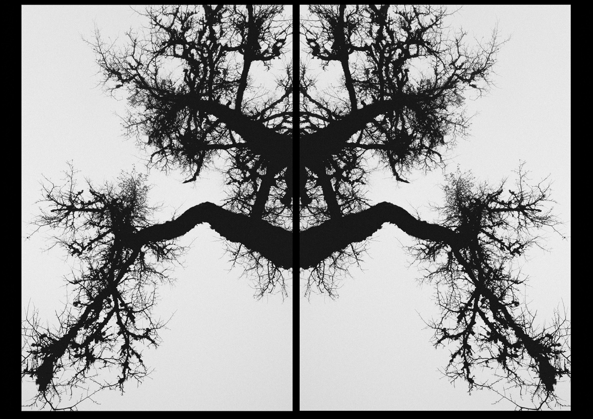 FUTURE LANDSCAPES: FADING REALITY (2026). OLGA REPTIK