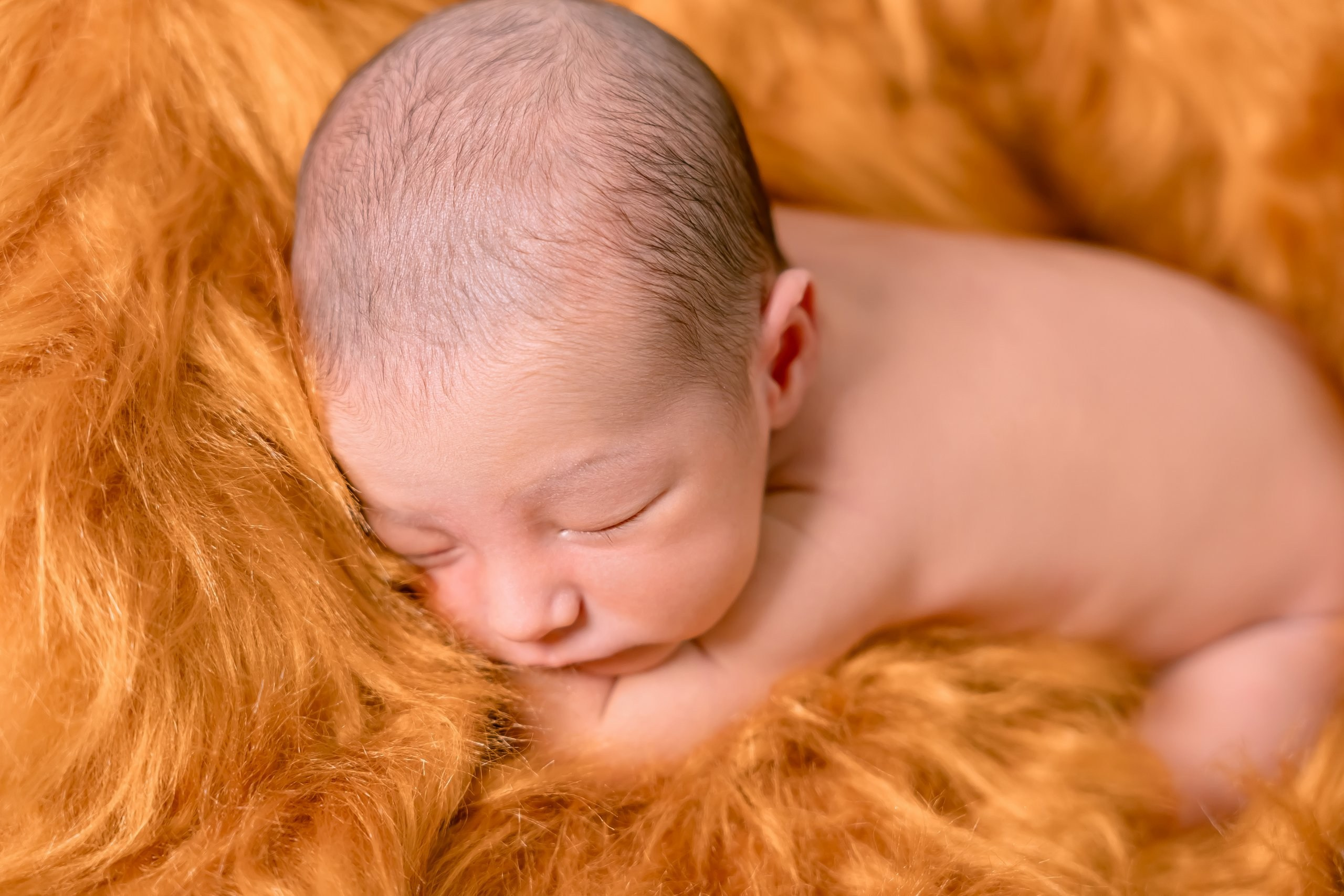 Gael — 30/12/2023. Luiz Medeiros Produções