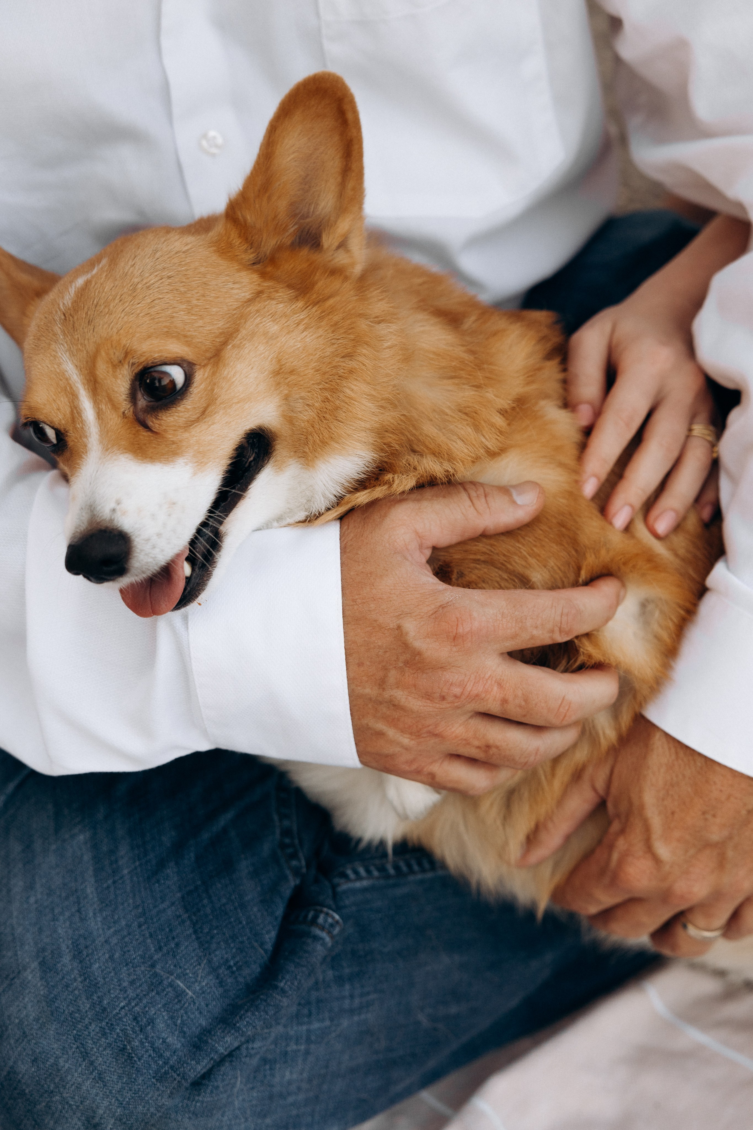 Kevin and Olga. Wedding and family photographer San Diego